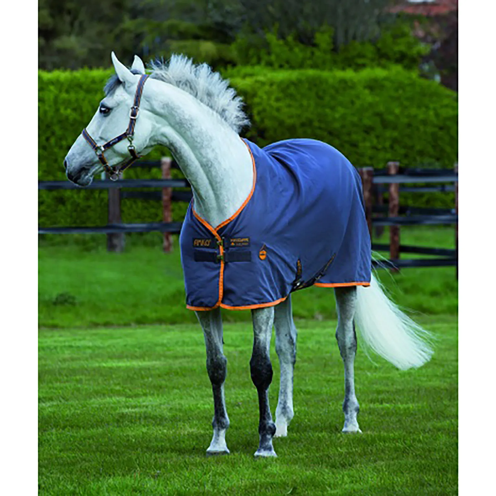 Coperta da scuderia Horseware Amigo, 0 g