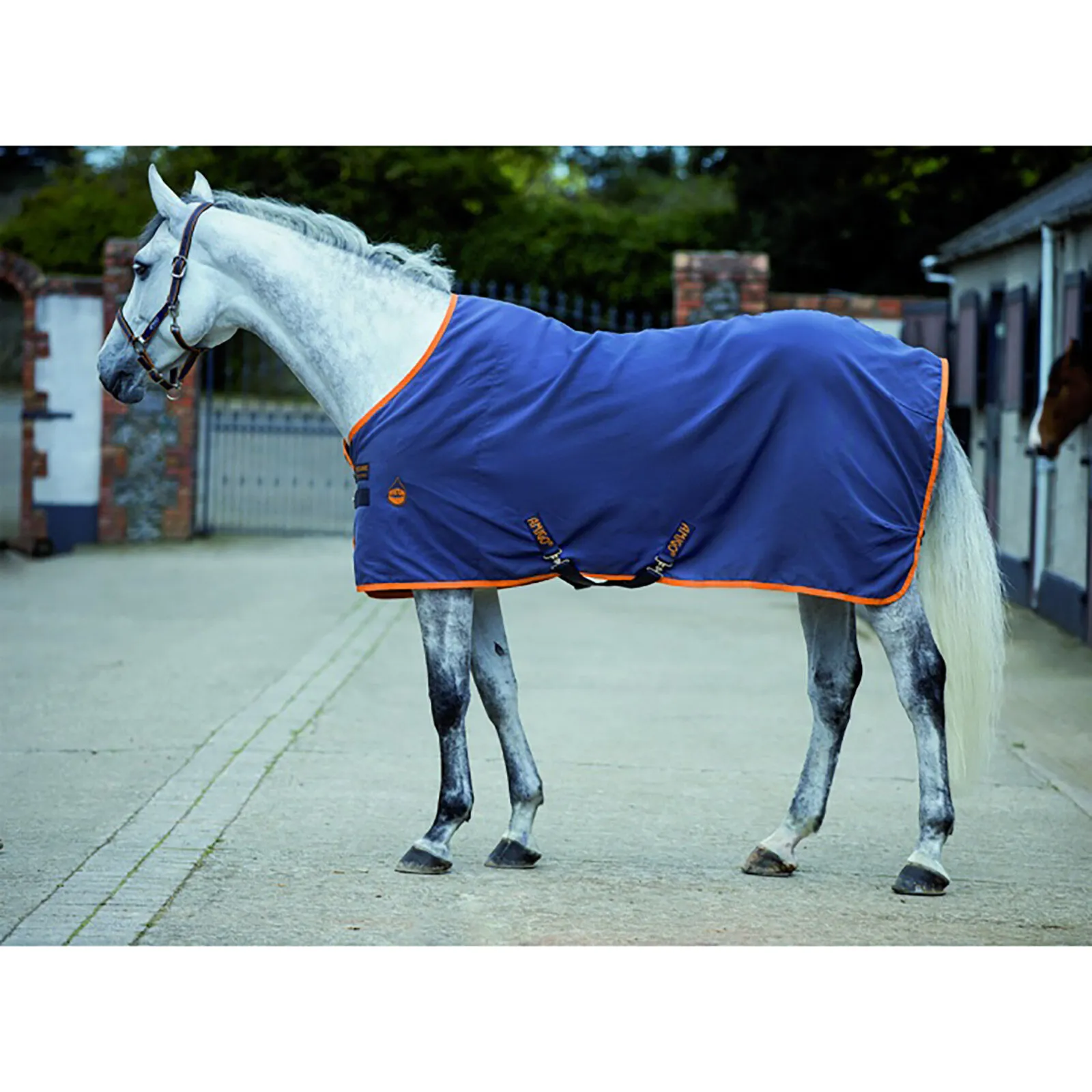 Coperta da scuderia Horseware Amigo, 0 g