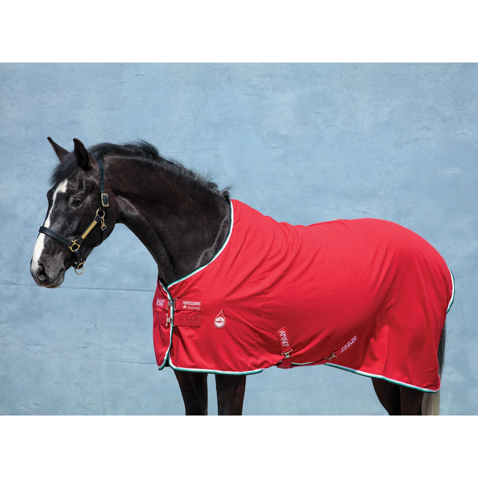 Coperta da scuderia Horseware Amigo, 0 g