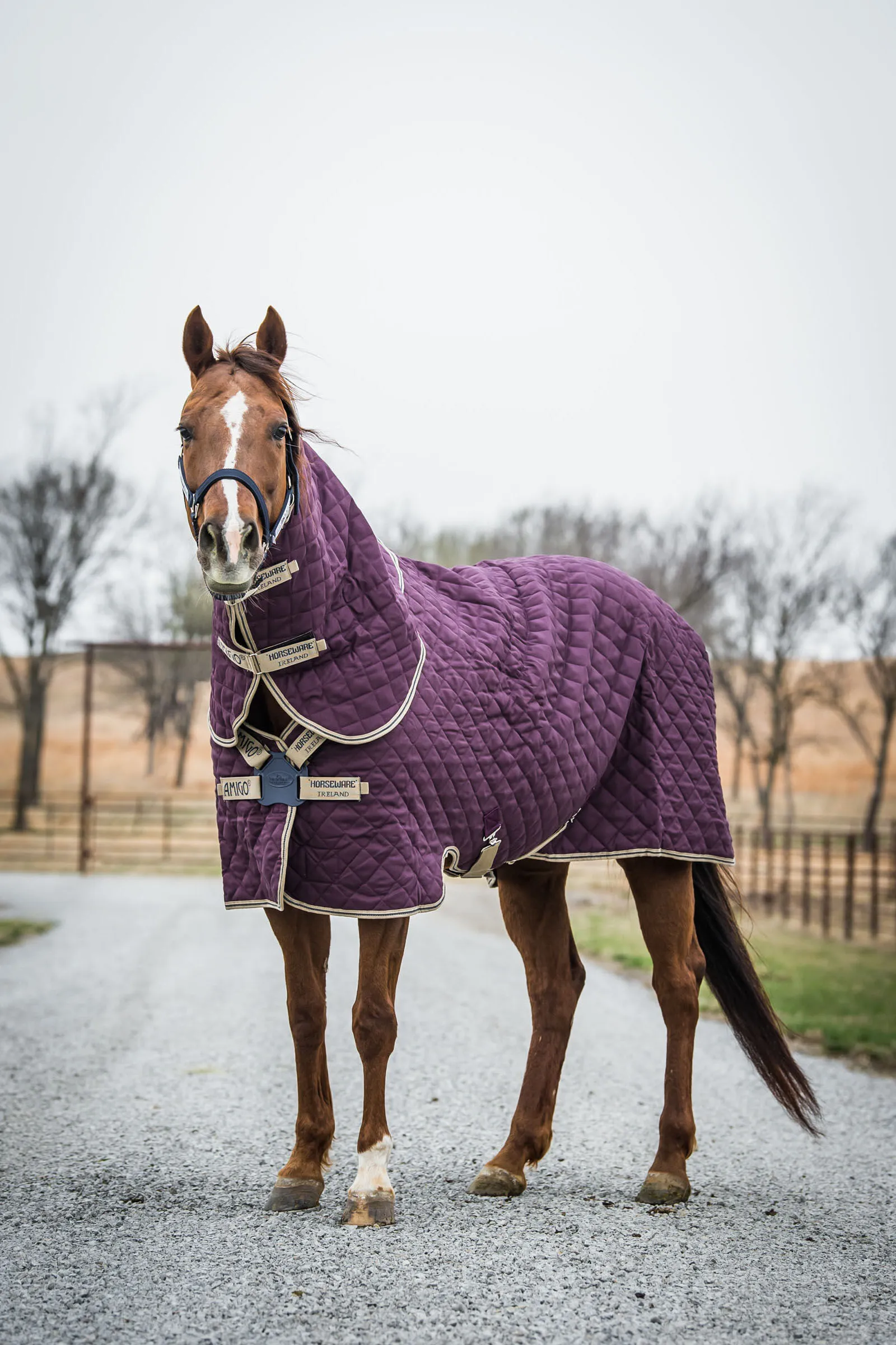 Coperta da scuderia Horseware Amigo Stable Plus Med Disc con collo staccabile, 200 g