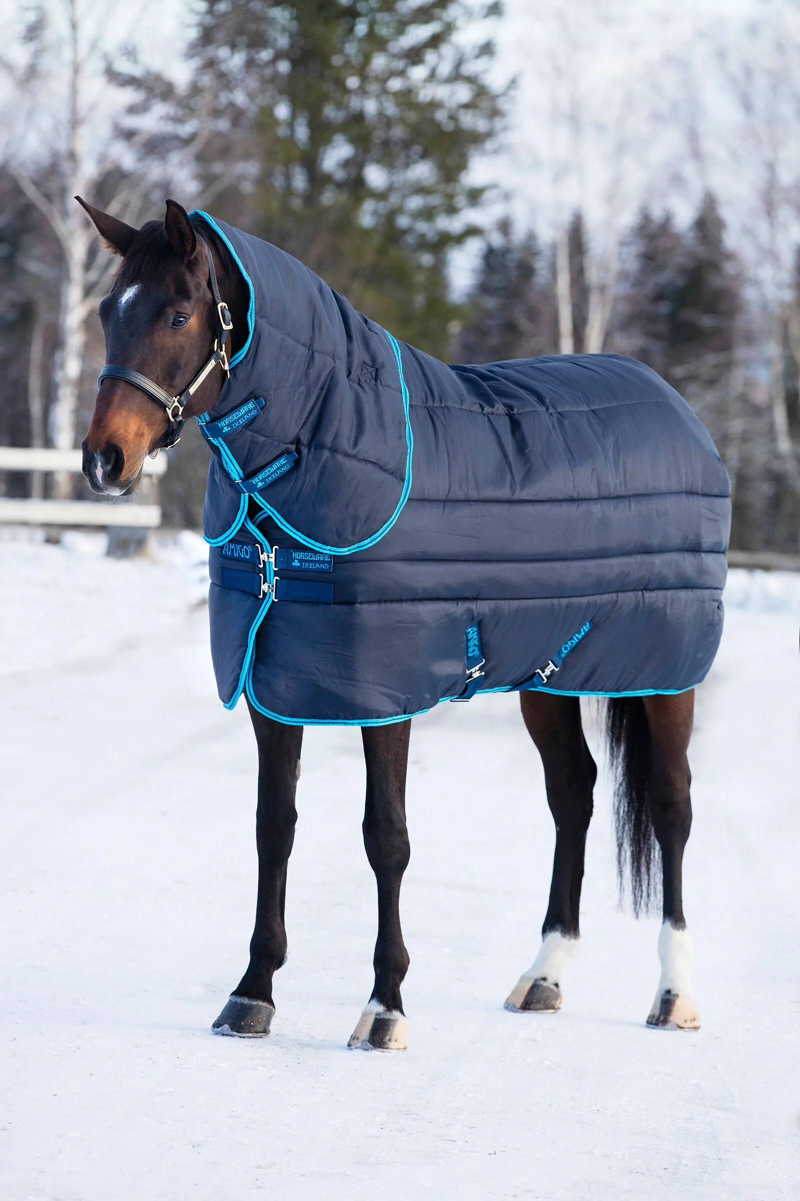 Coperta da scuderia isolante Horseware Amigo con collo staccabile, 550 g