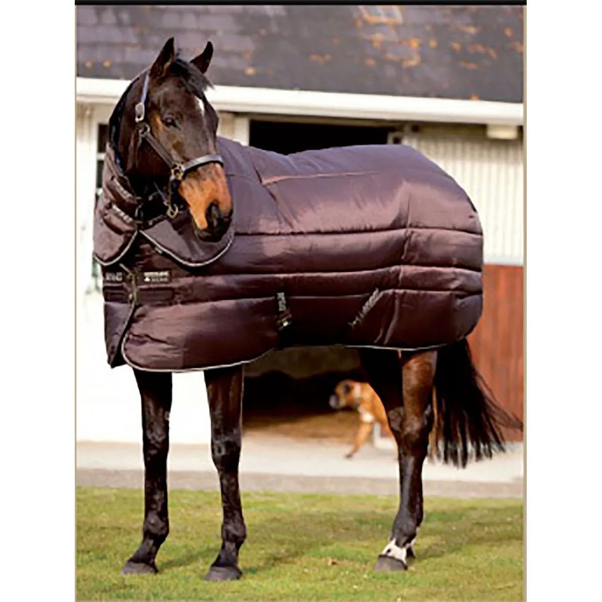 Coperta da scuderia isolante Horseware Amigo con collo staccabile, 550 g