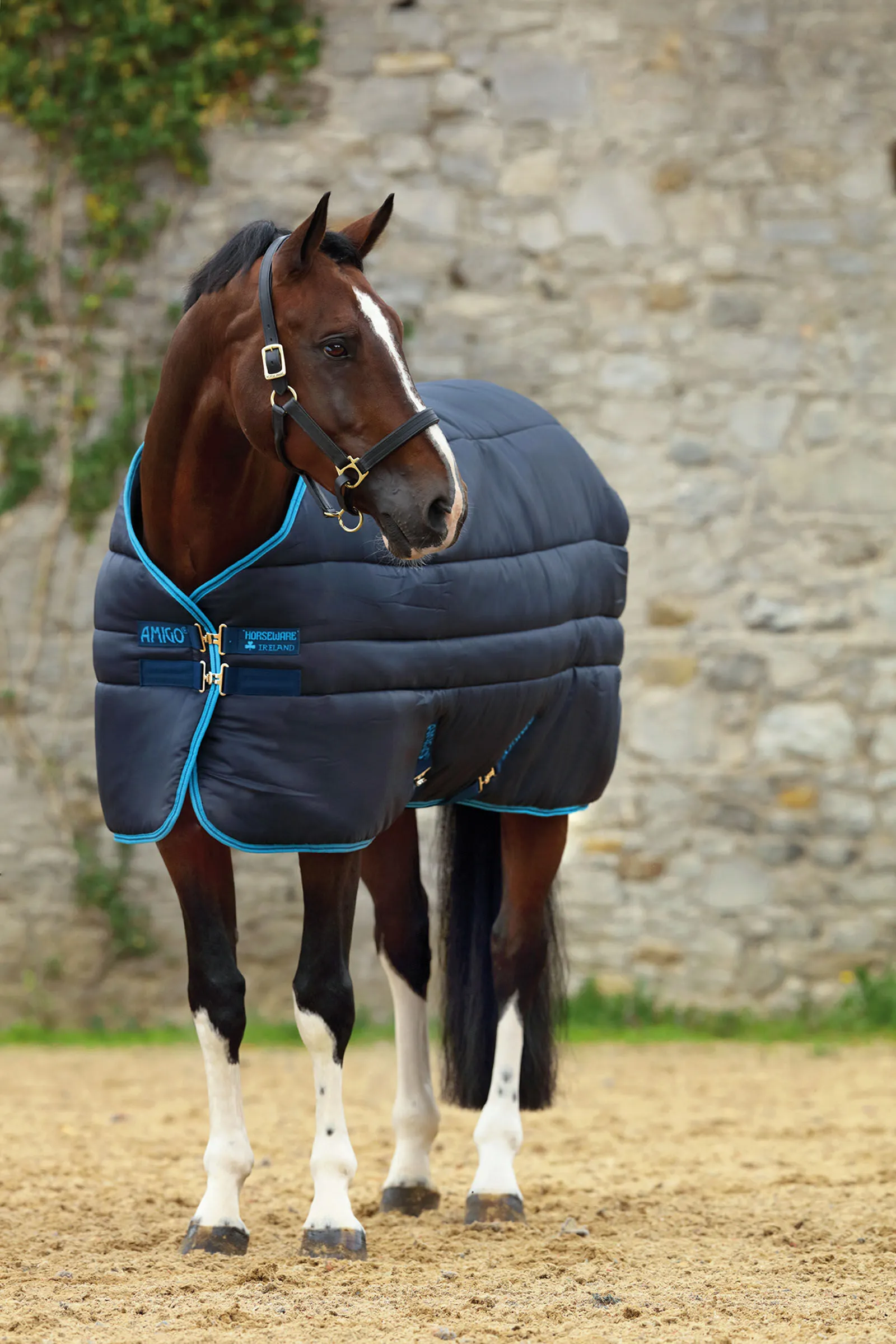 Coperta da scuderia isolante Horseware Amigo con collo staccabile, 550 g