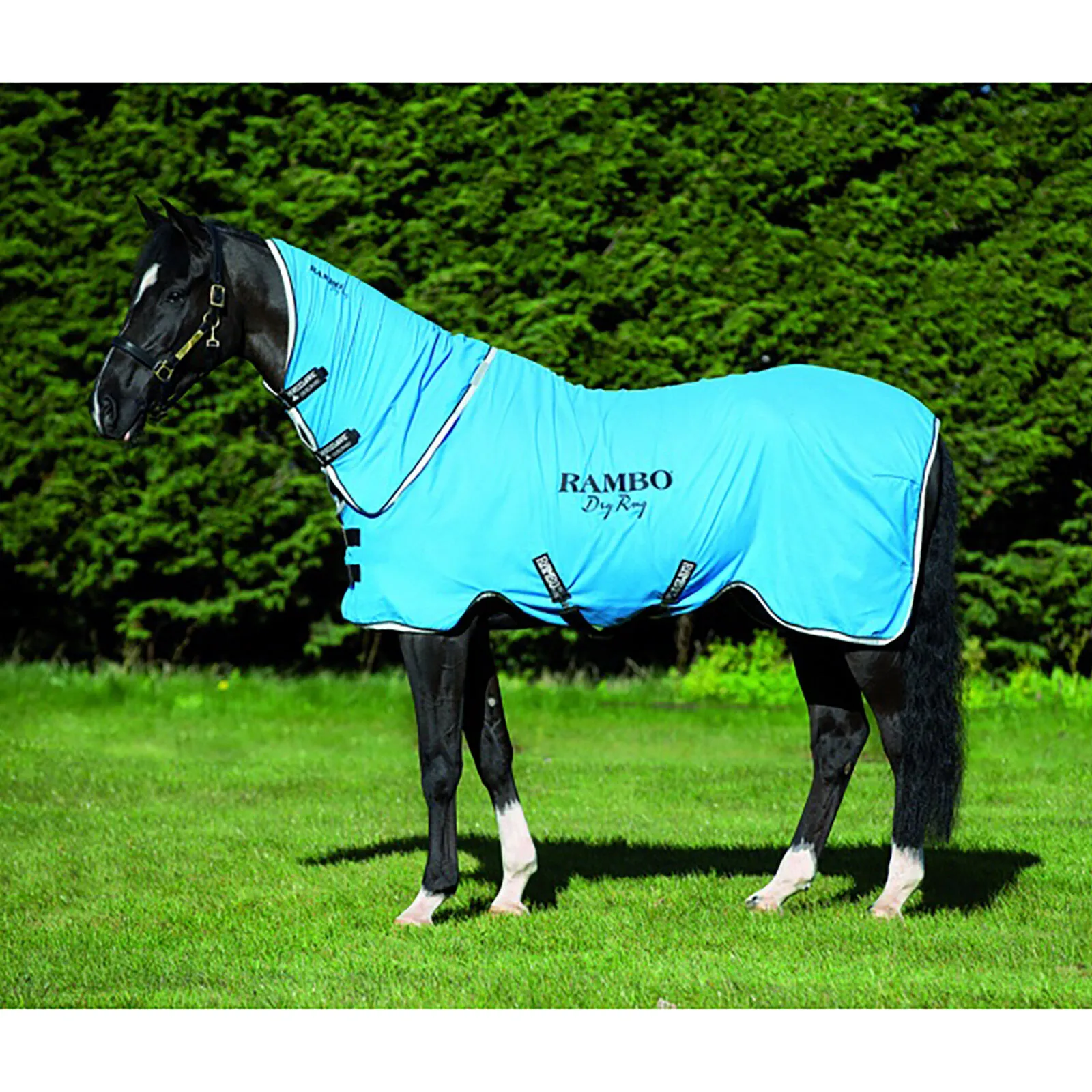 Coperta Horseware Rambo Dry Supreme