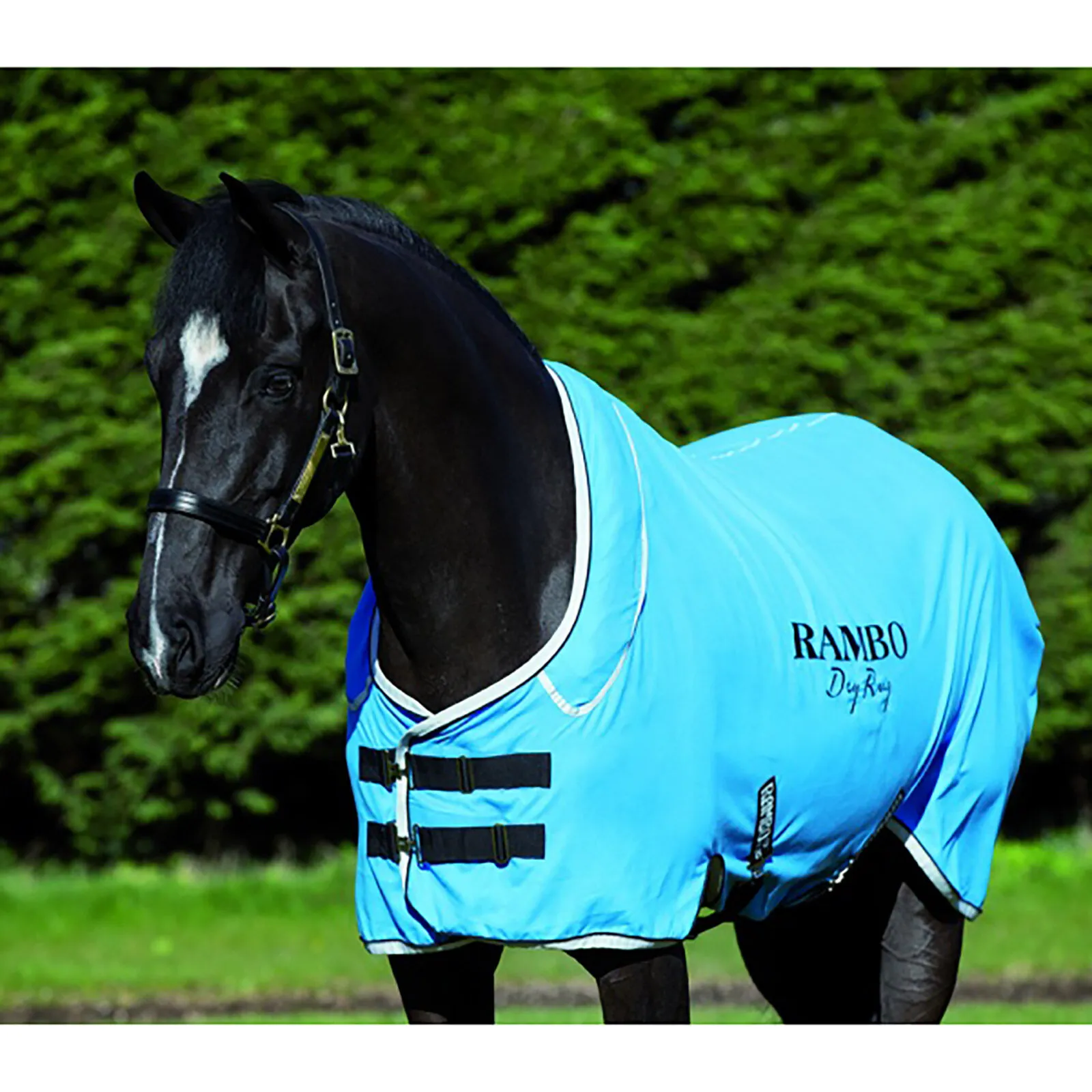 Coperta Horseware Rambo Dry Supreme