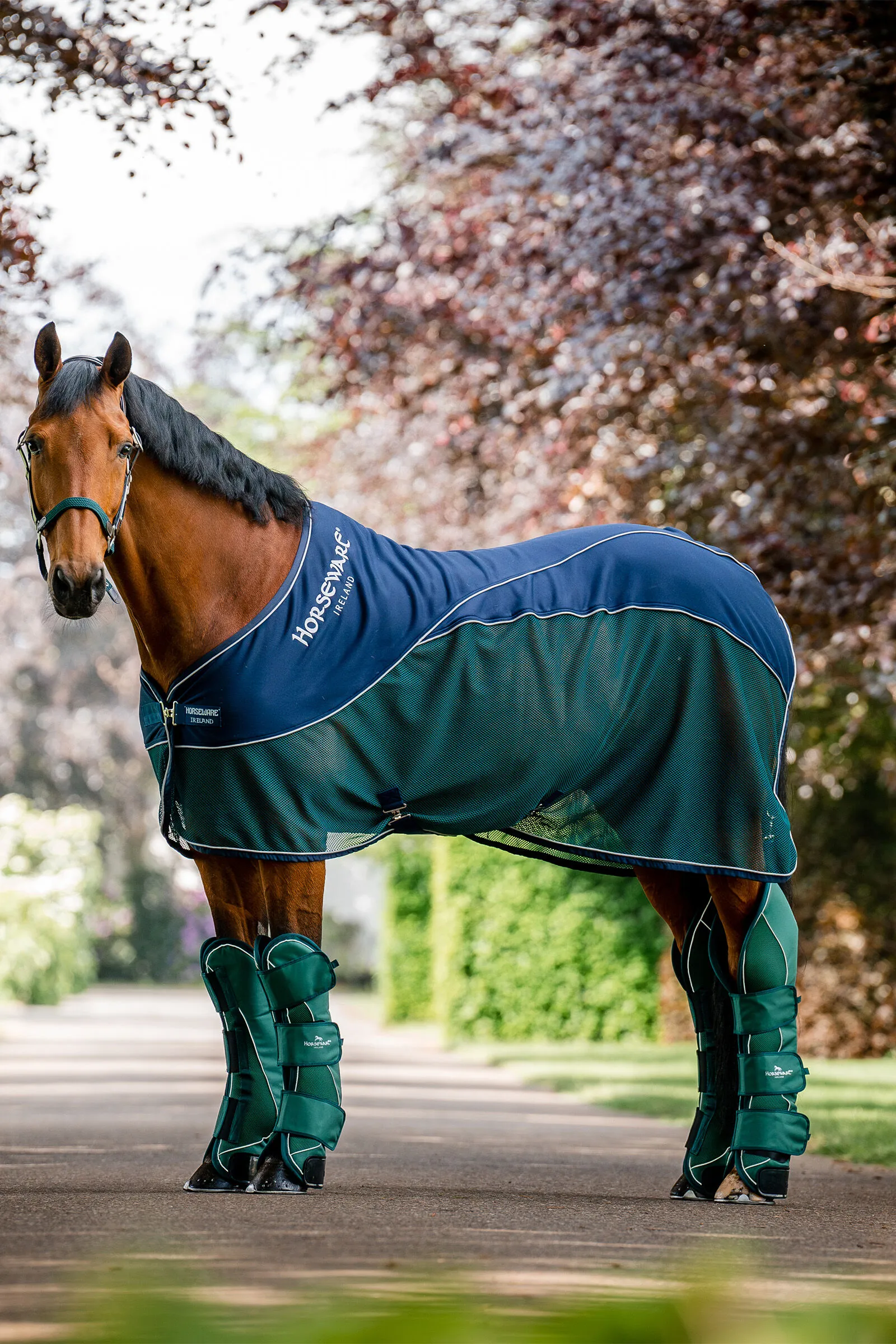 Coperta Horseware Signature Sport per asciugatura