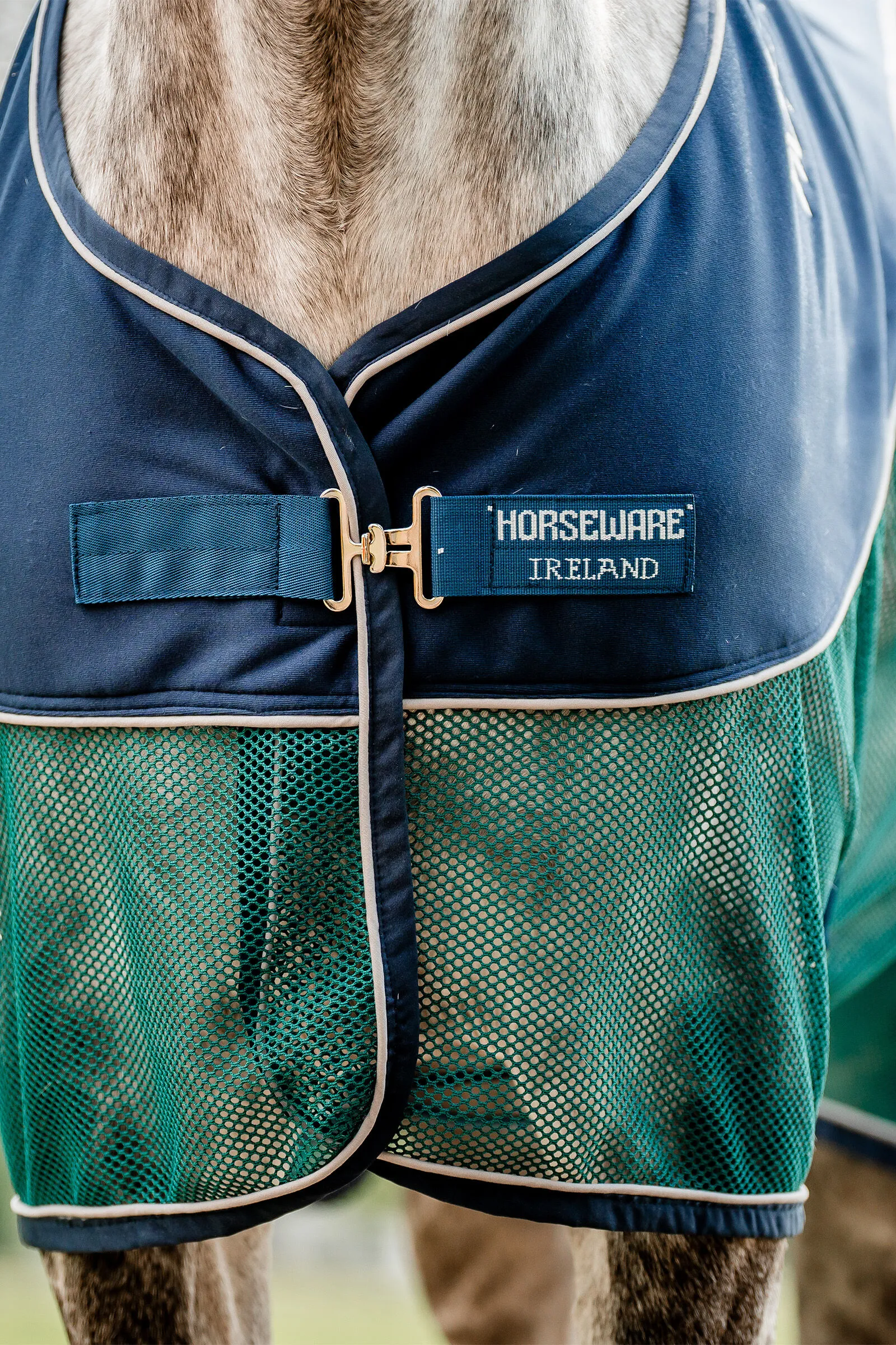 Coperta Horseware Signature Sport per asciugatura