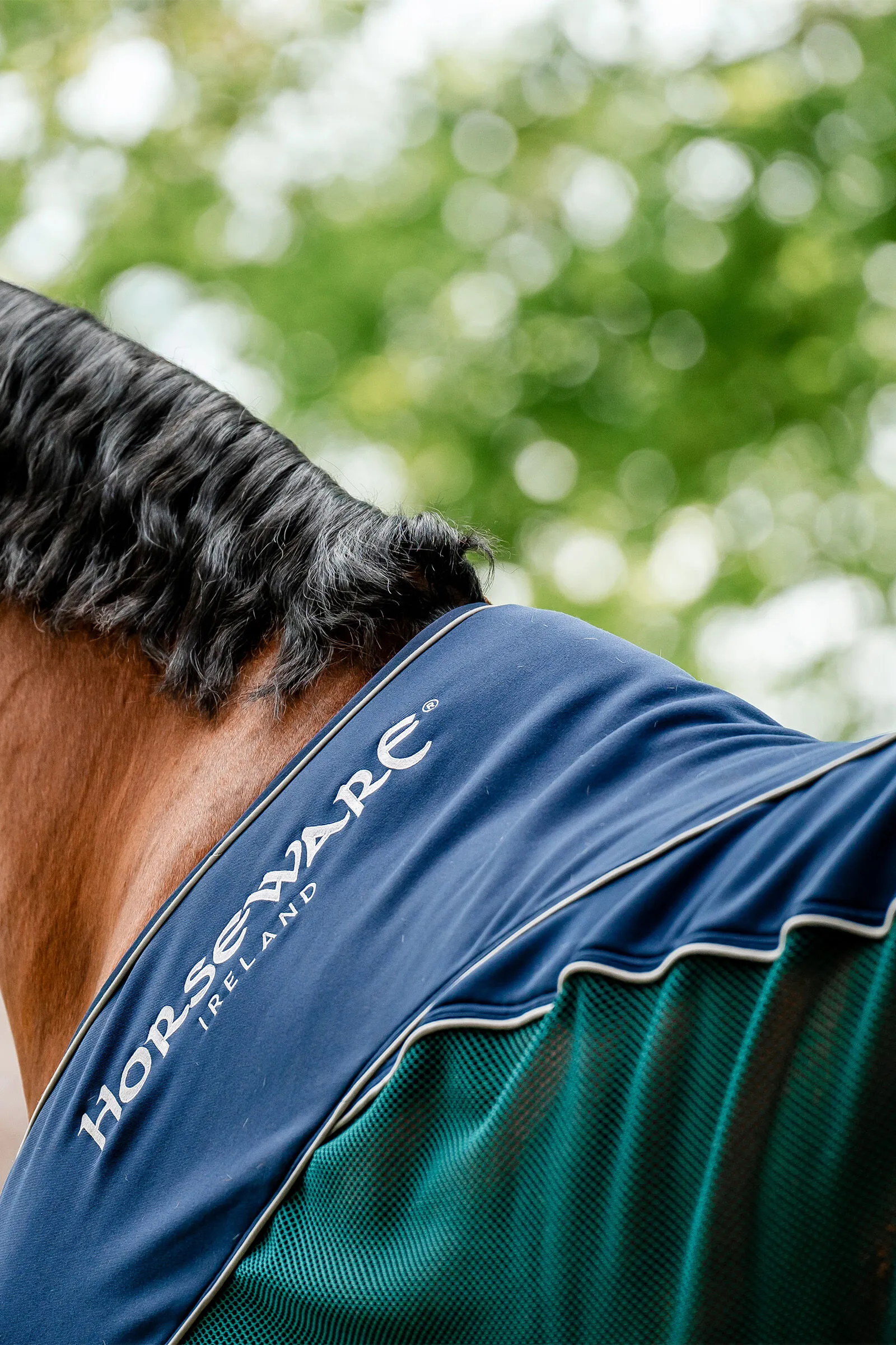 Coperta Horseware Signature Sport per asciugatura