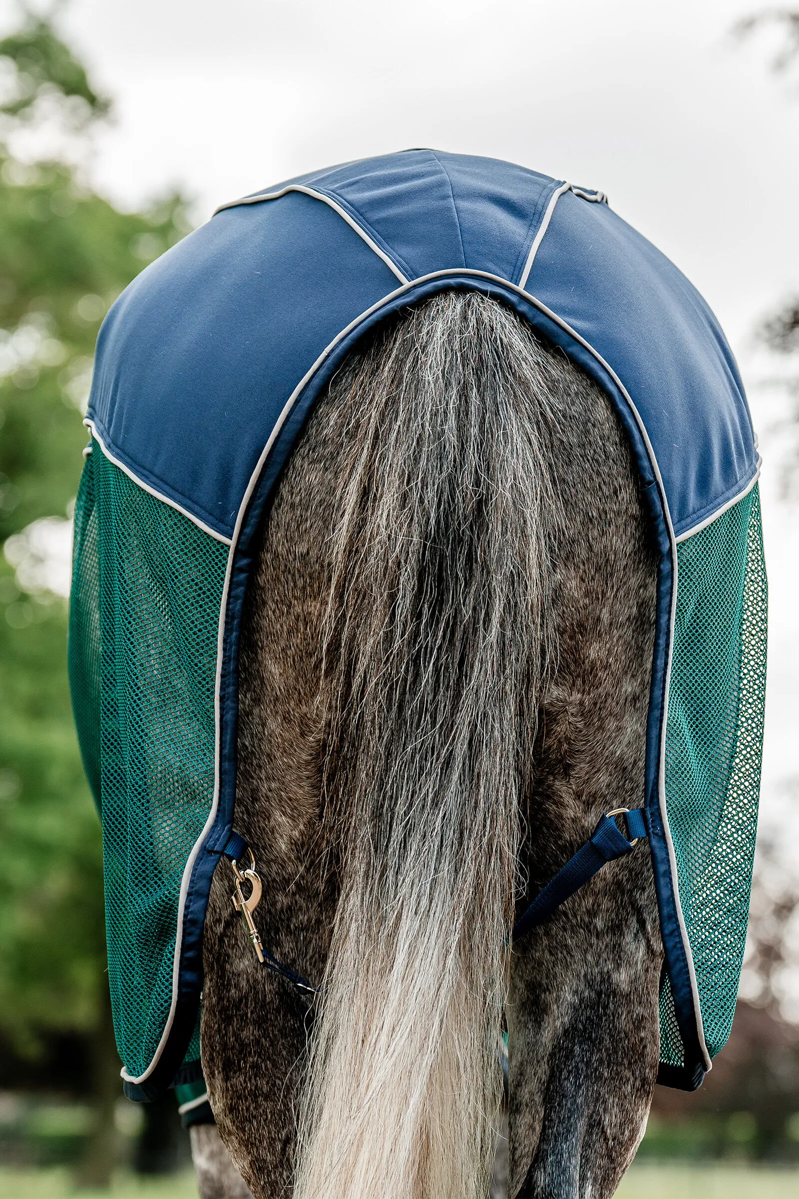 Coperta Horseware Signature Sport per asciugatura