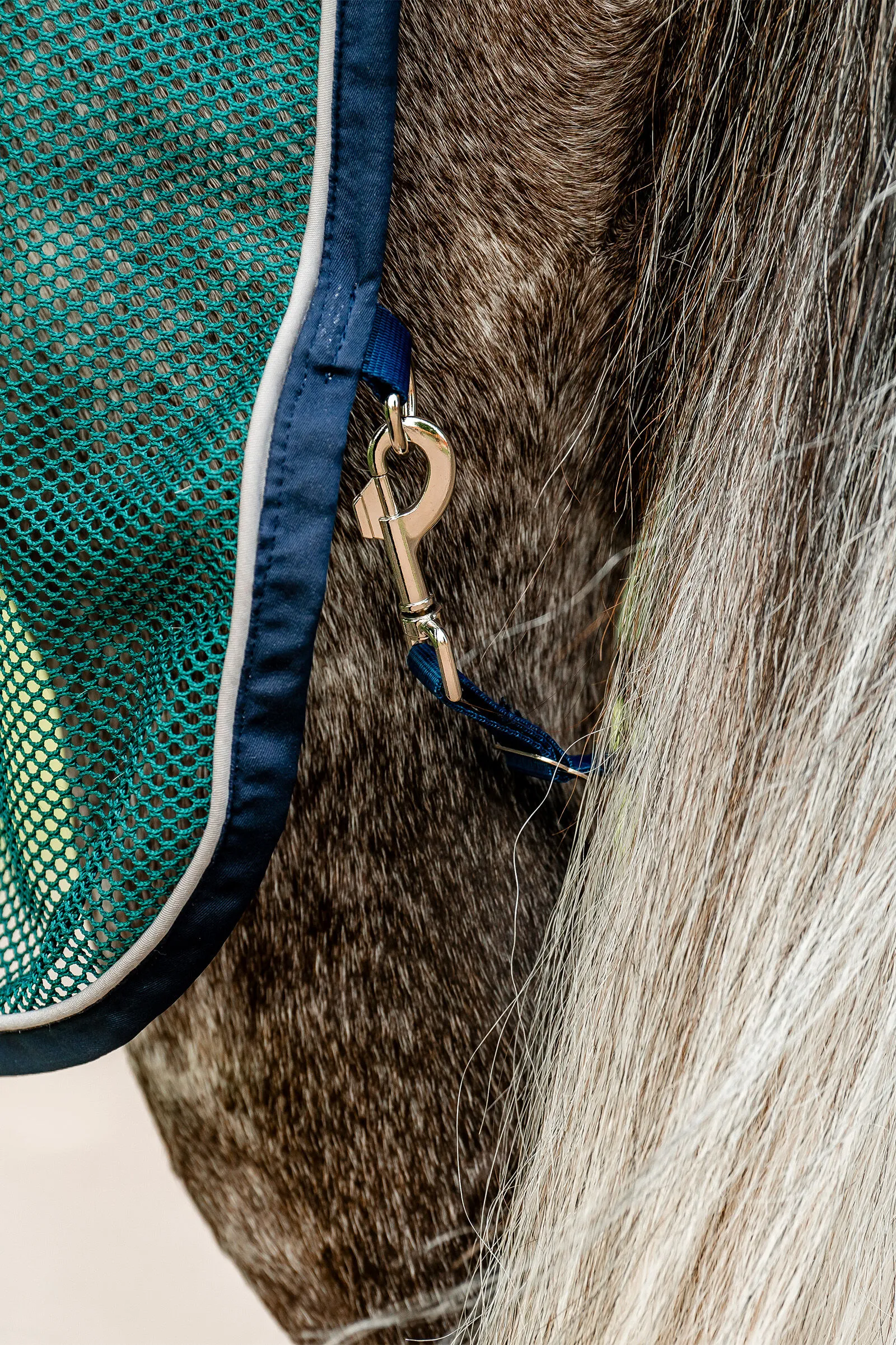 Coperta Horseware Signature Sport per asciugatura