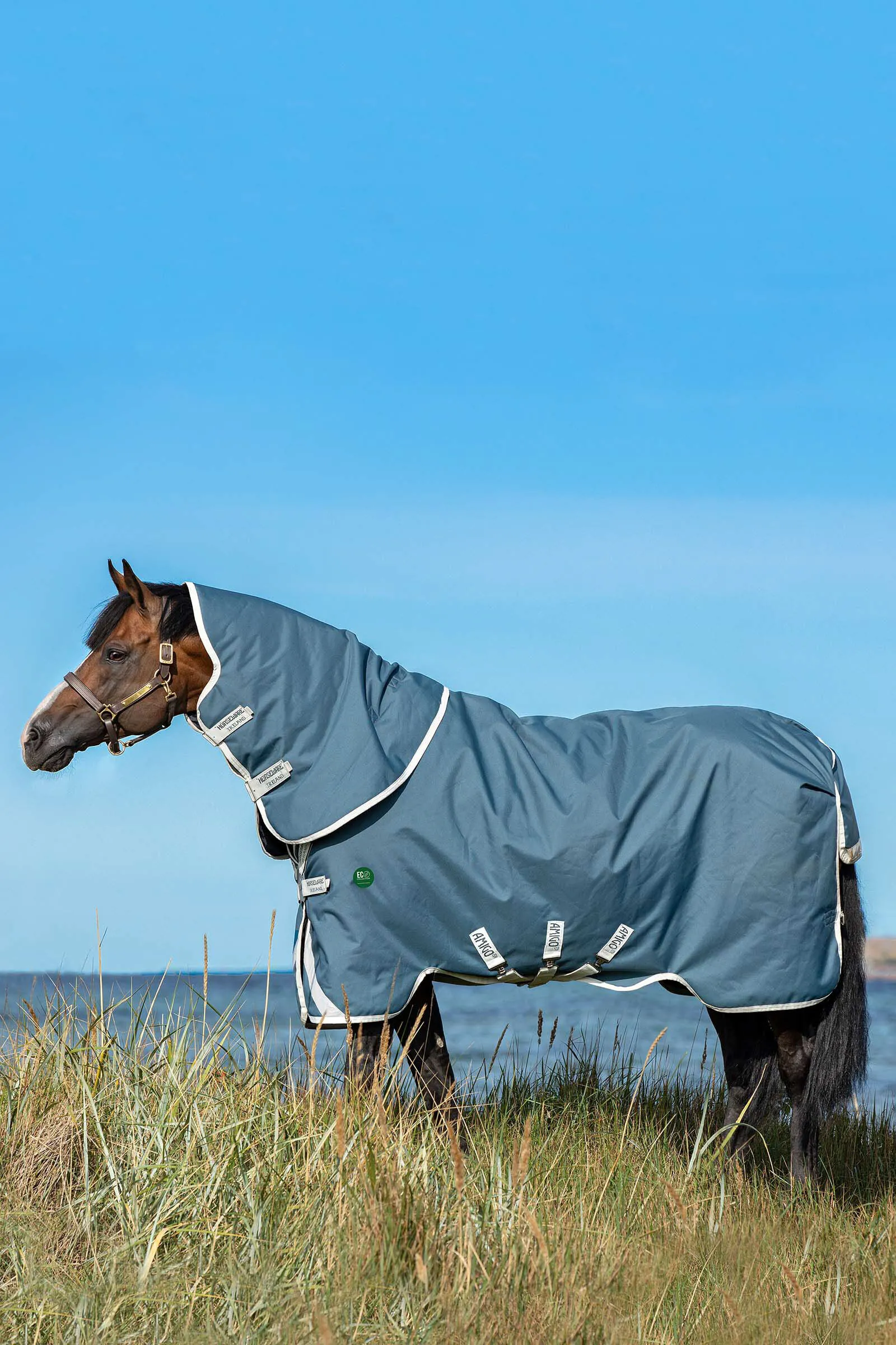 Horseware AmEco Bravo 12 Plus Coperta da turnout con collo rimovibile, 100 gr