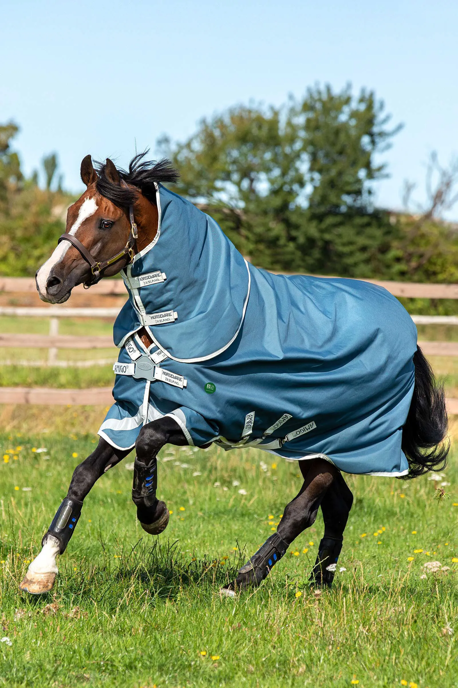 Horseware AmEco Bravo 12 Plus Coperta da turnout con collo rimovibile, 100 gr