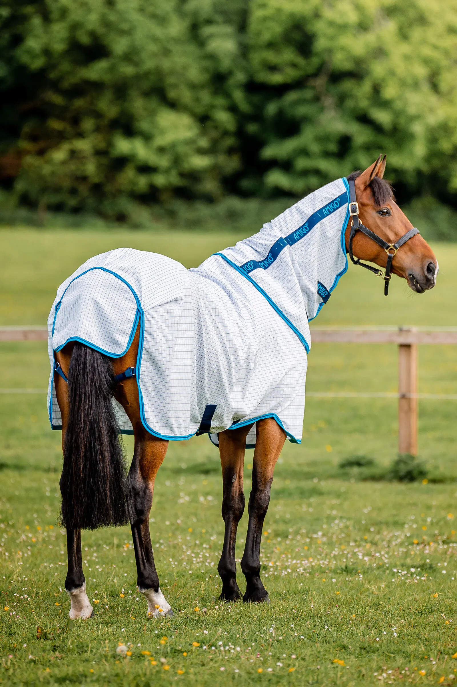 Horseware Amigo Aussie Coperta Allrounder