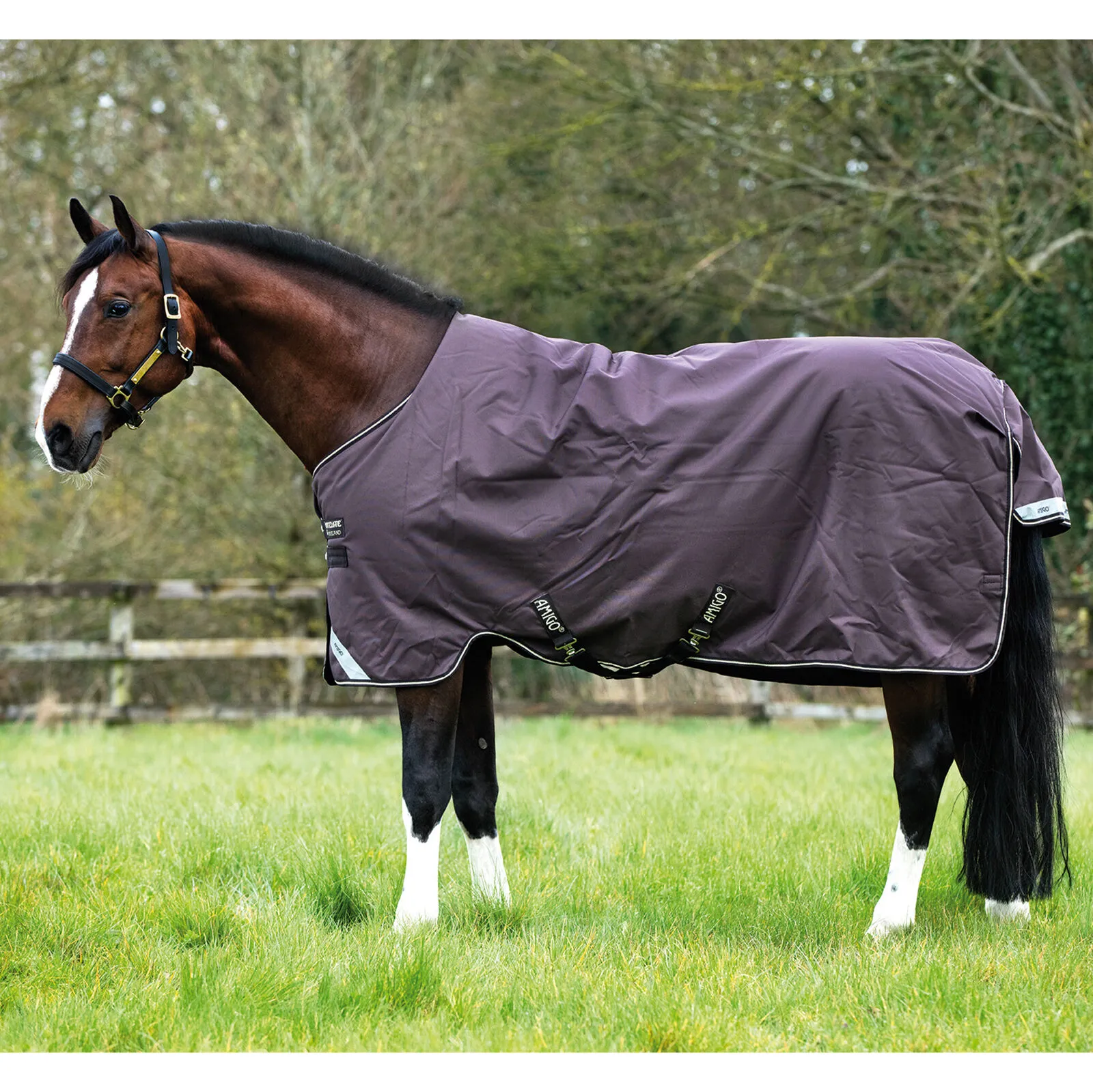 Horseware Amigo Bravo 12 Coperta da turnout, 100 gr