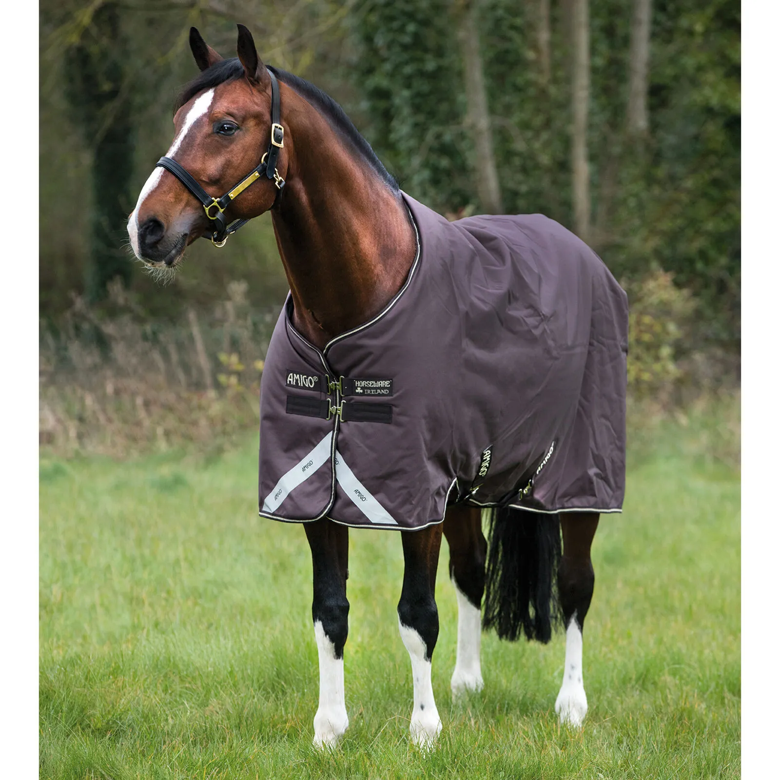 Horseware Amigo Bravo 12 Coperta da turnout, 100 gr