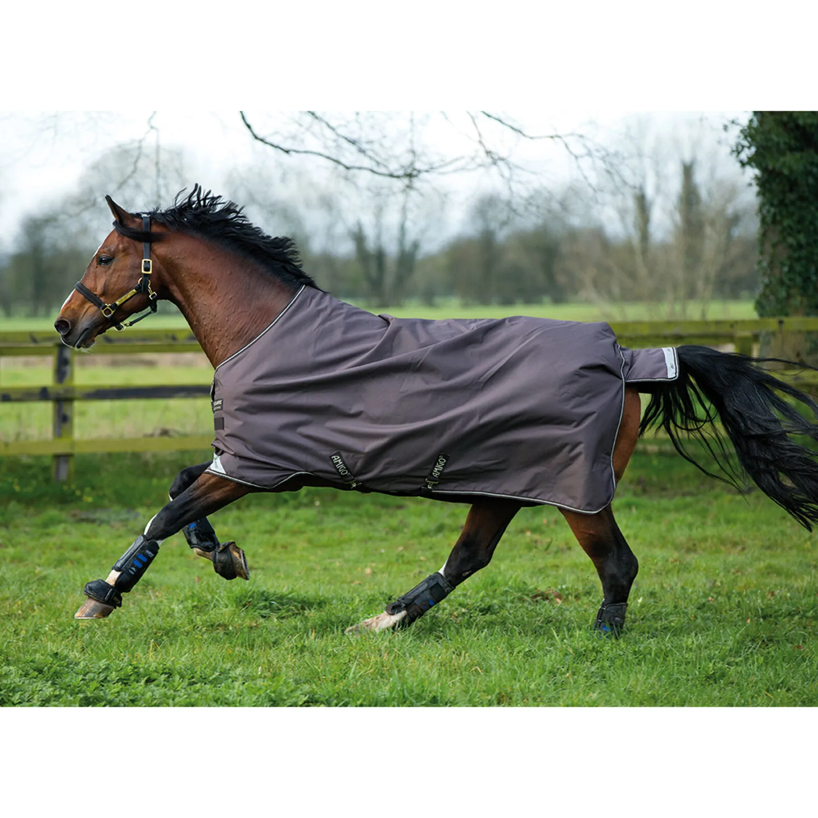 Horseware Amigo Bravo 12 Coperta da turnout, 100 gr