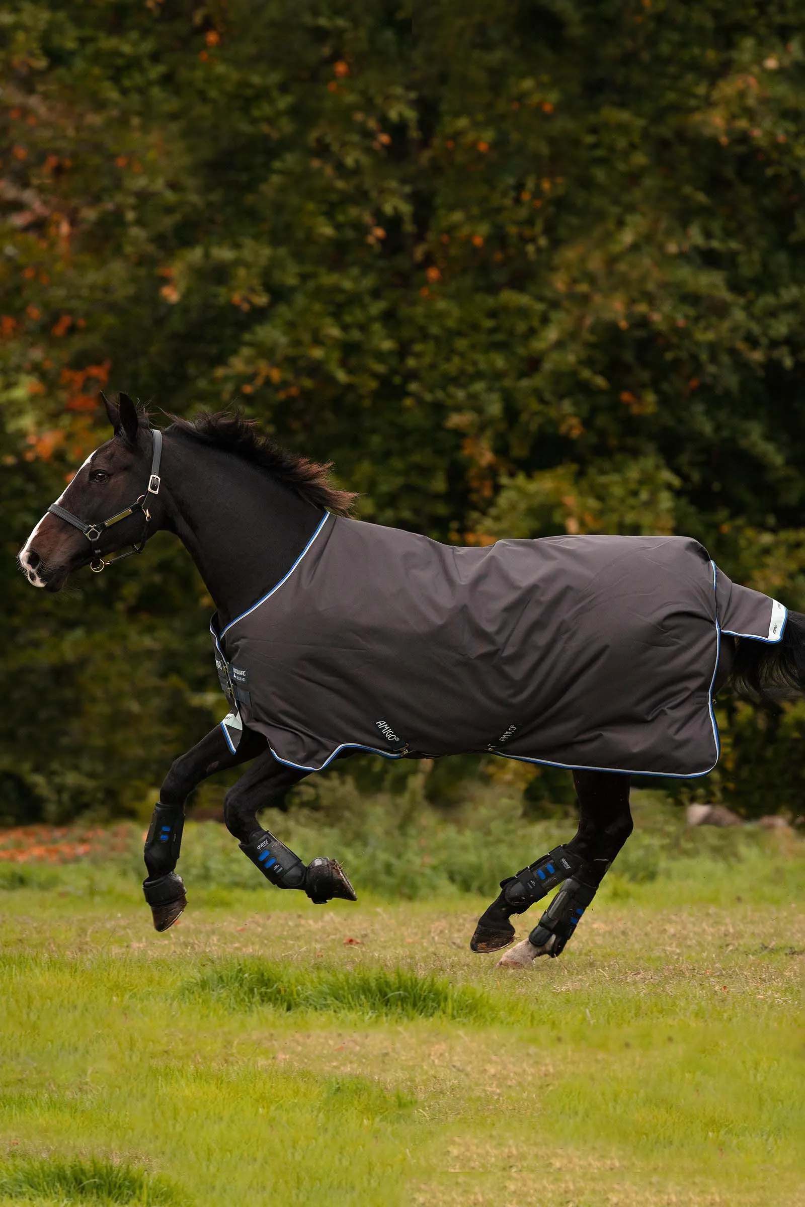 Horseware Amigo Bravo 12 Coperta da turnout, 100 gr