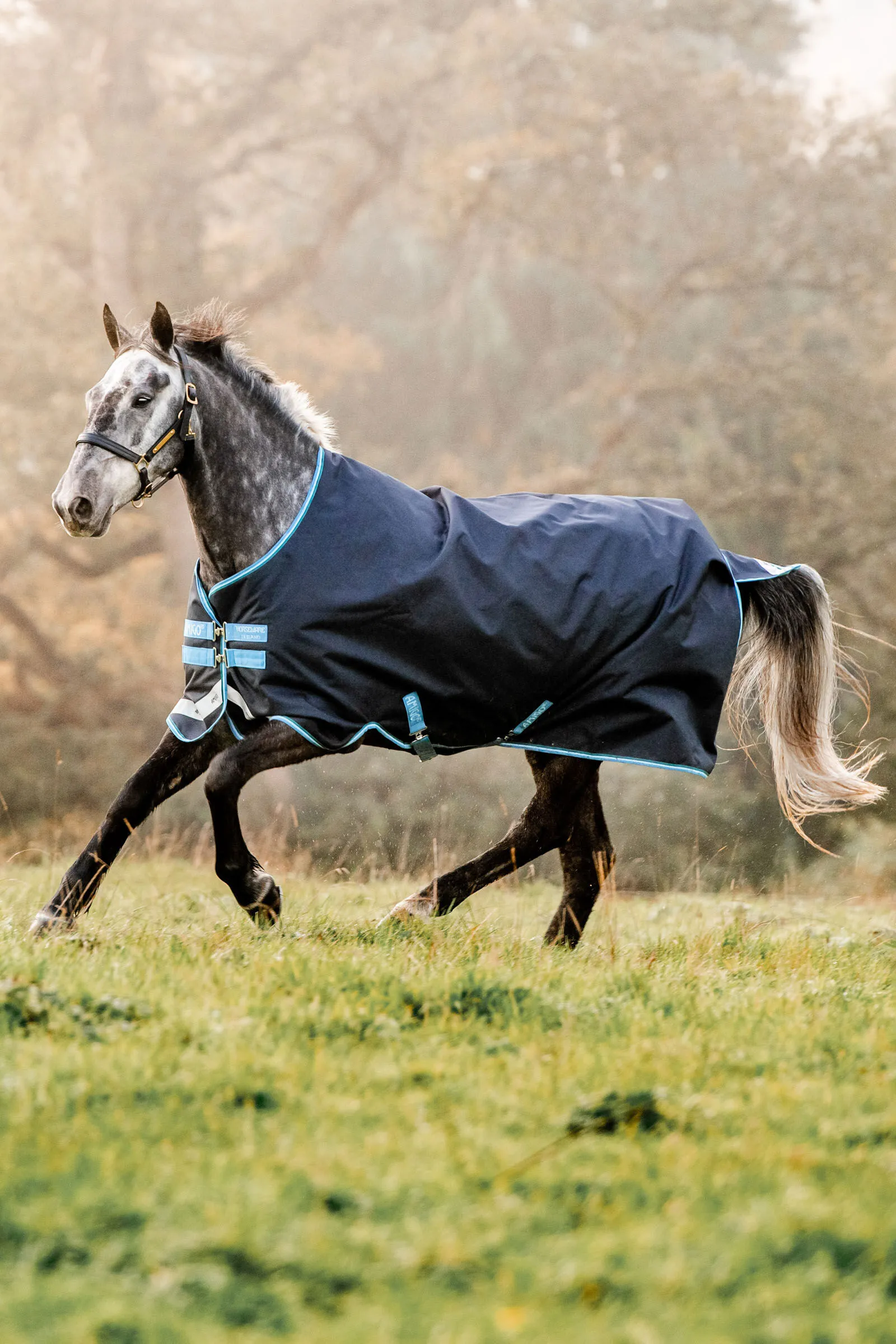 Horseware Amigo Bravo 12 Coperta da turnout, 100 gr