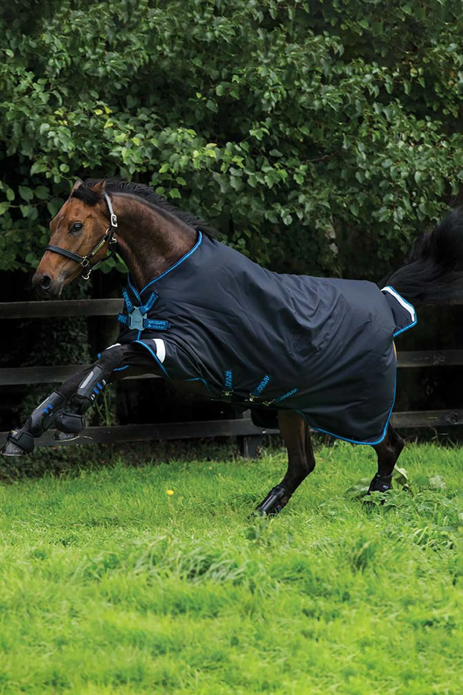 Horseware Amigo Bravo 12 Disc Coperta da turnout, 100 gr