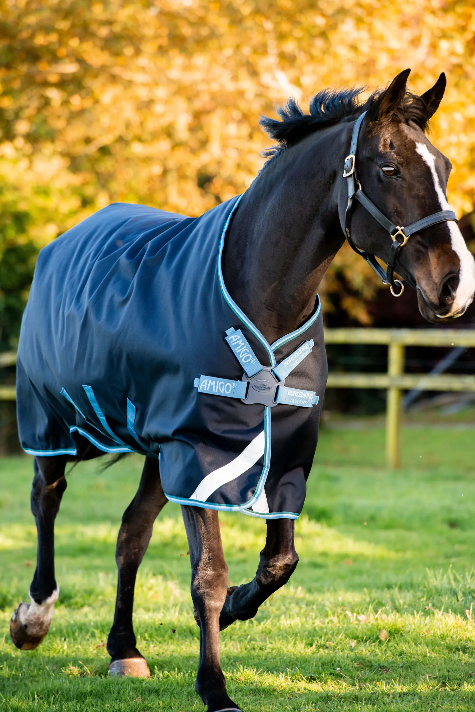 Horseware Amigo Bravo 12 Disc Coperta da turnout, 100 gr