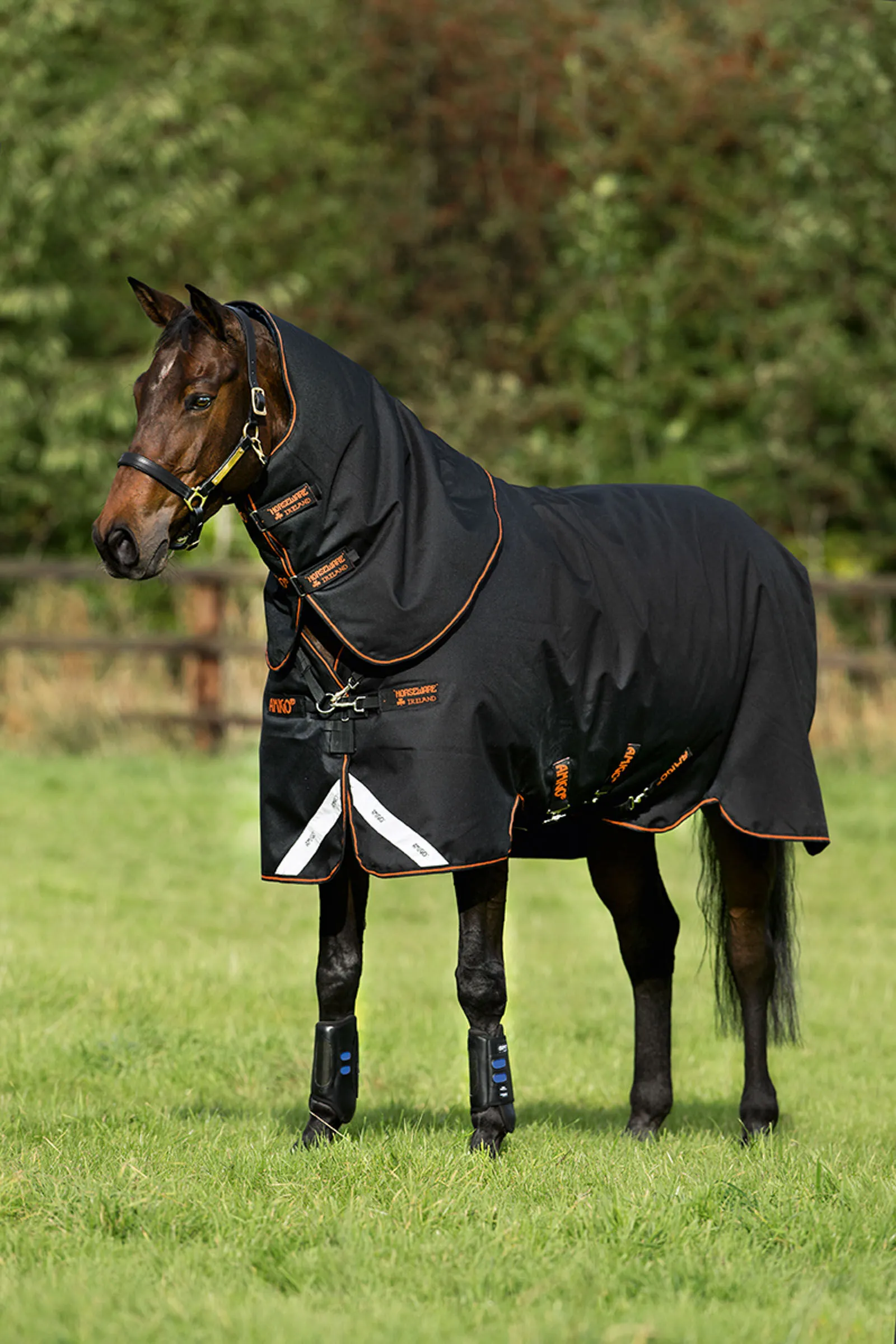 Horseware Amigo Bravo 12 Plus Coperta da turnout con collo rimovibile, 250 gr