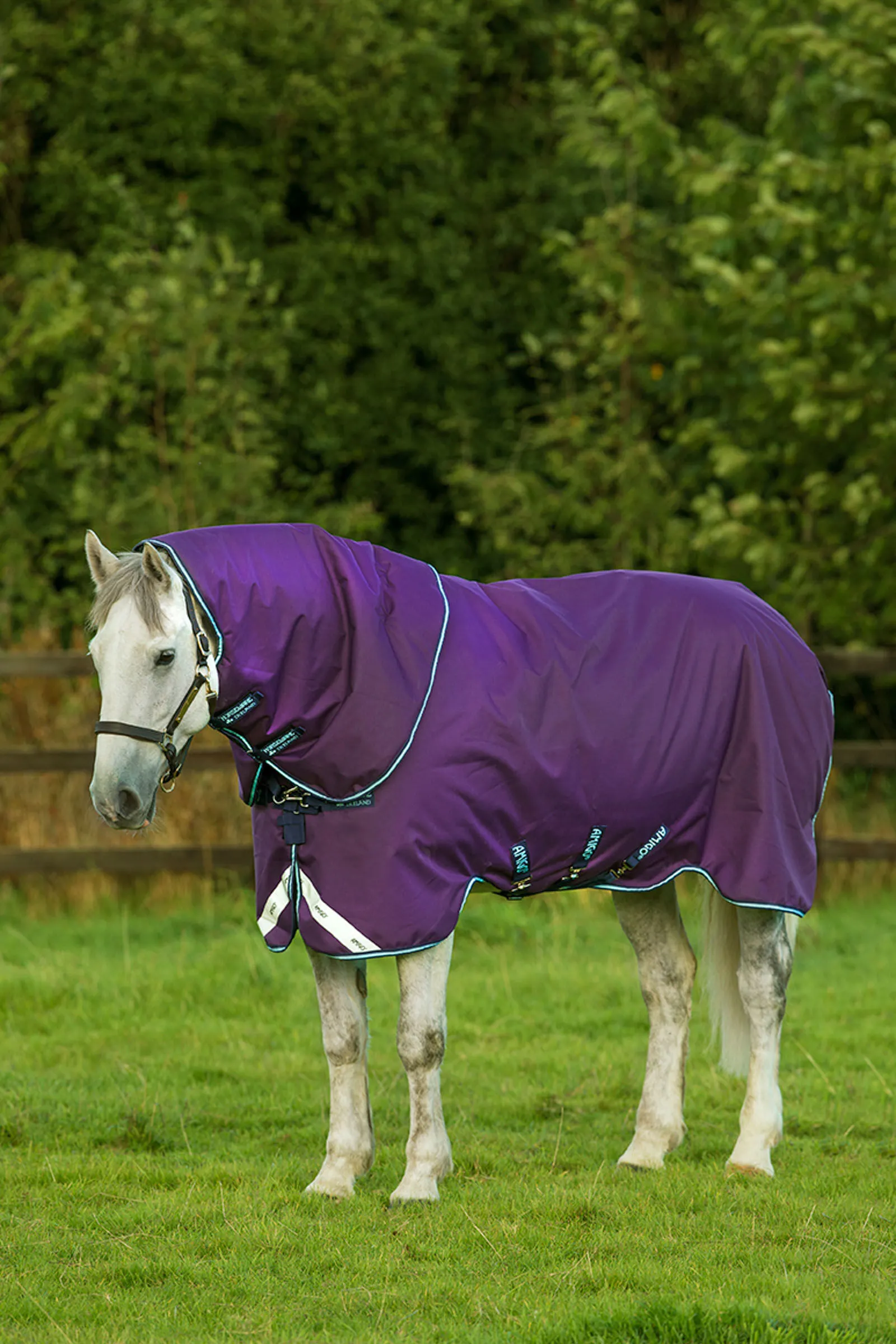 Horseware Amigo Bravo 12 Plus Coperta da turnout con collo rimovibile, 250 gr