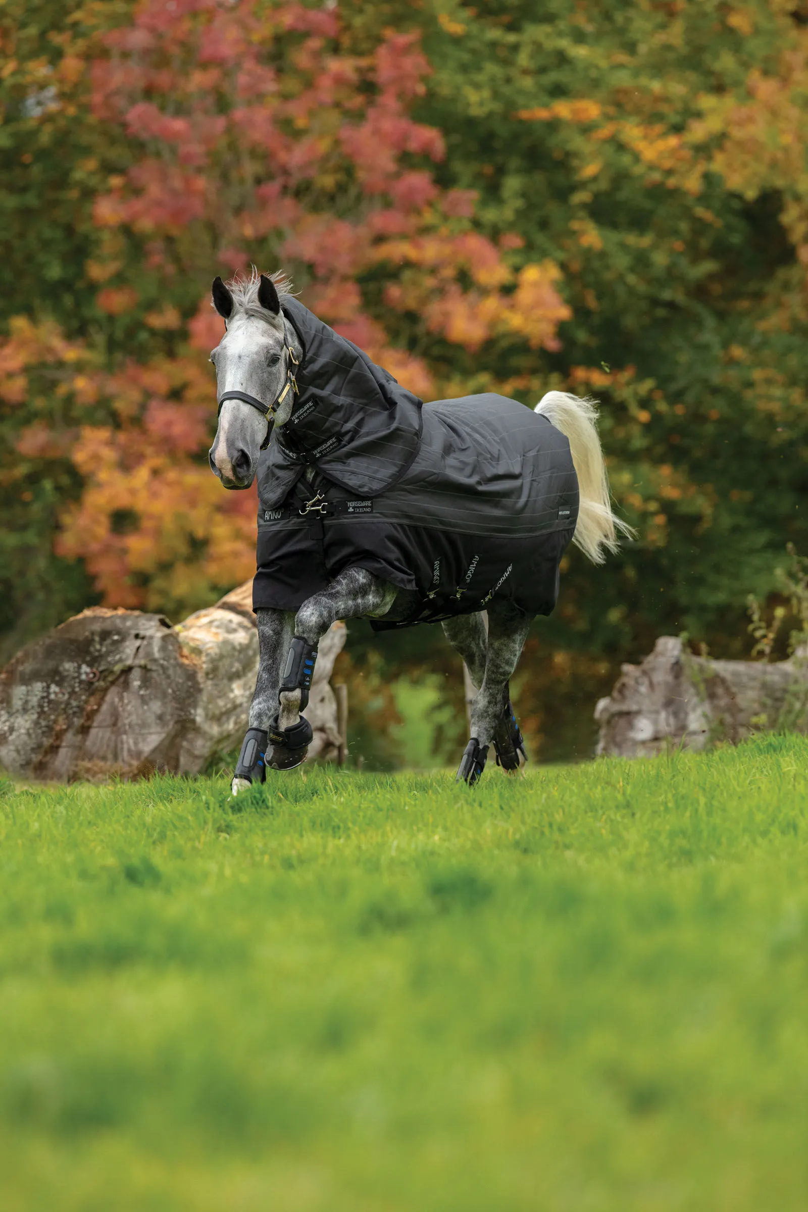 Horseware Amigo Bravo 12 Plus Coperta da turnout riflettente con collo rimovibile, 250 gr