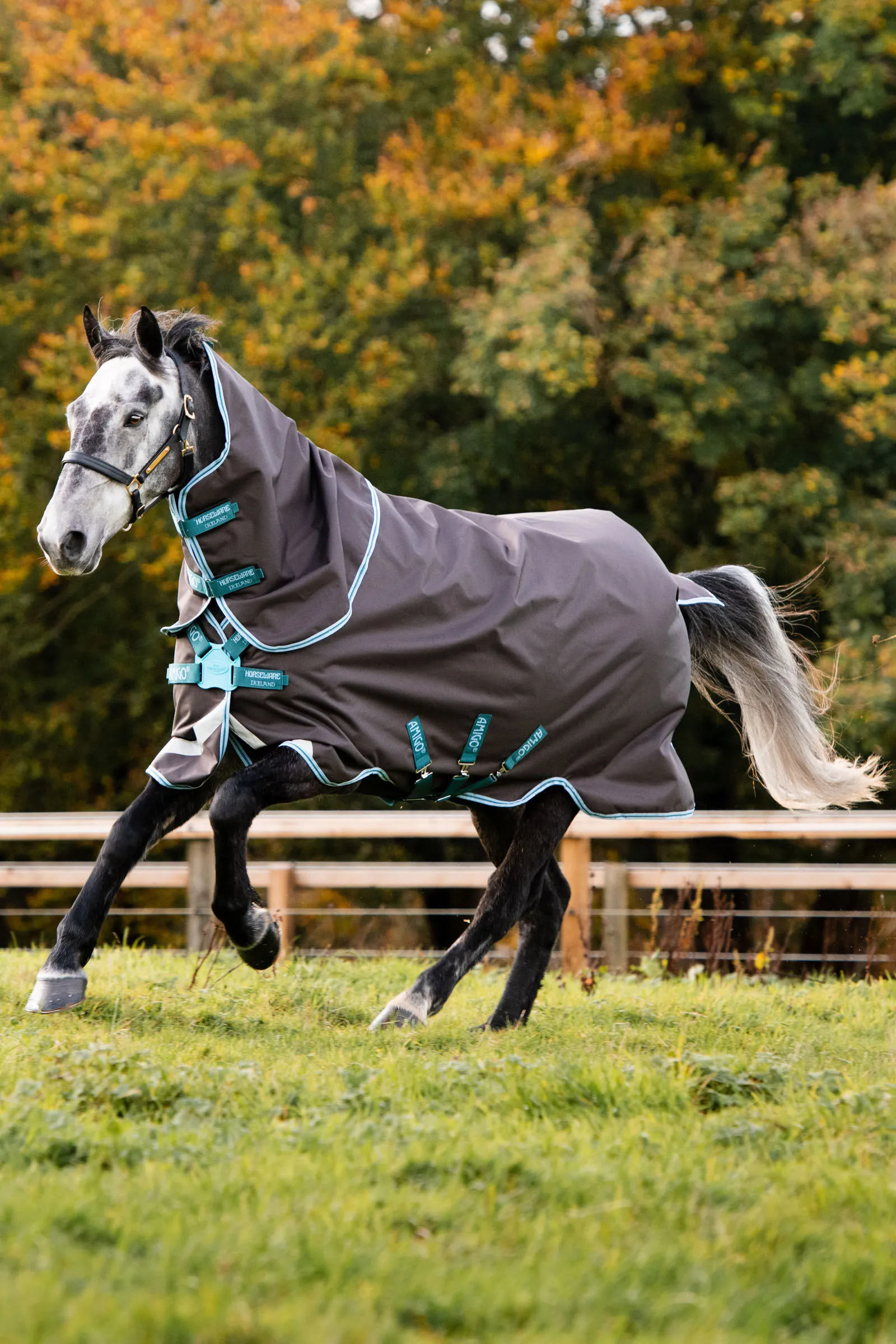 Horseware Amigo Bravo 12 Plus Disc Coperta da turnout, 250 gr