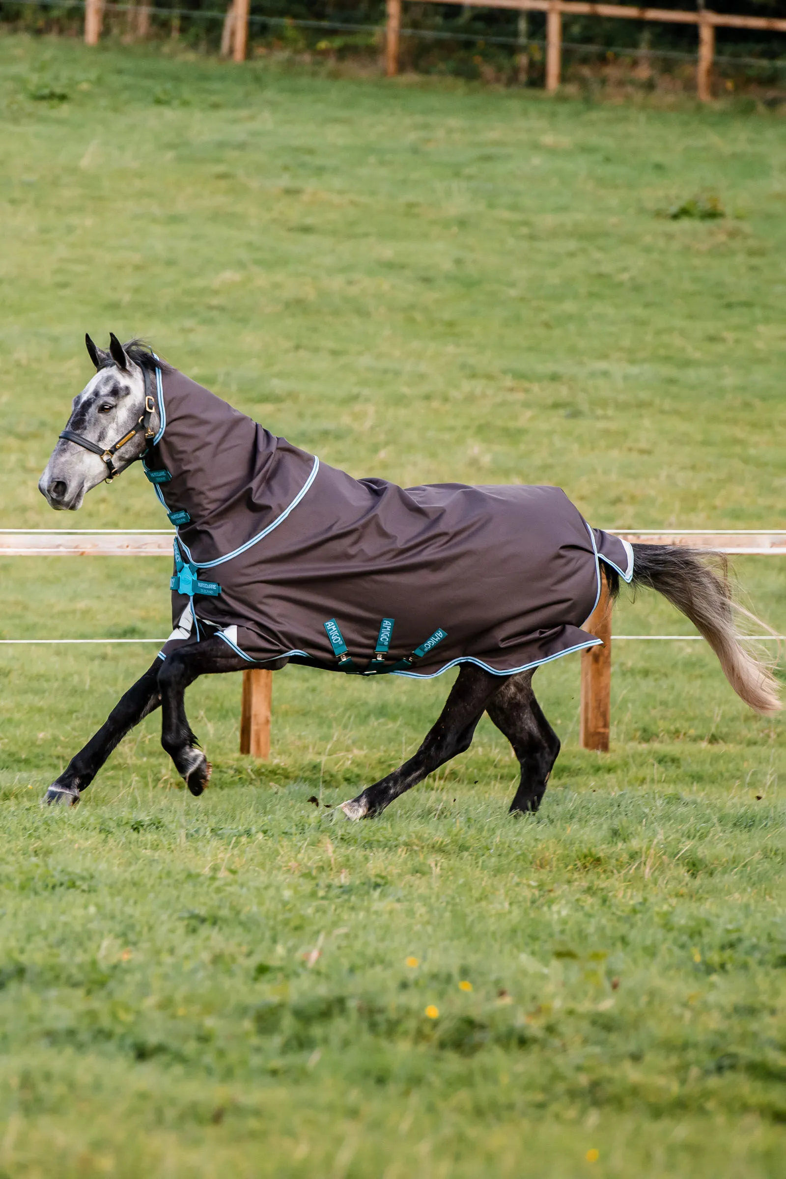 Horseware Amigo Bravo 12 Plus Disc Coperta da turnout, 250 gr