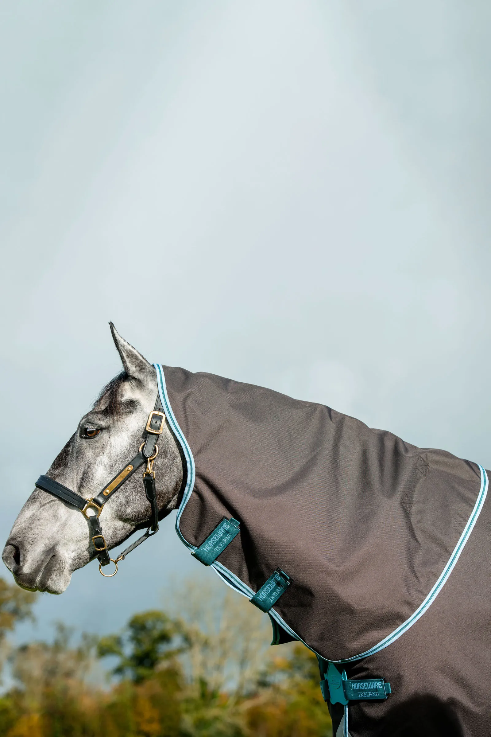 Horseware Amigo Bravo 12 Plus Disc Coperta da turnout, 250 gr