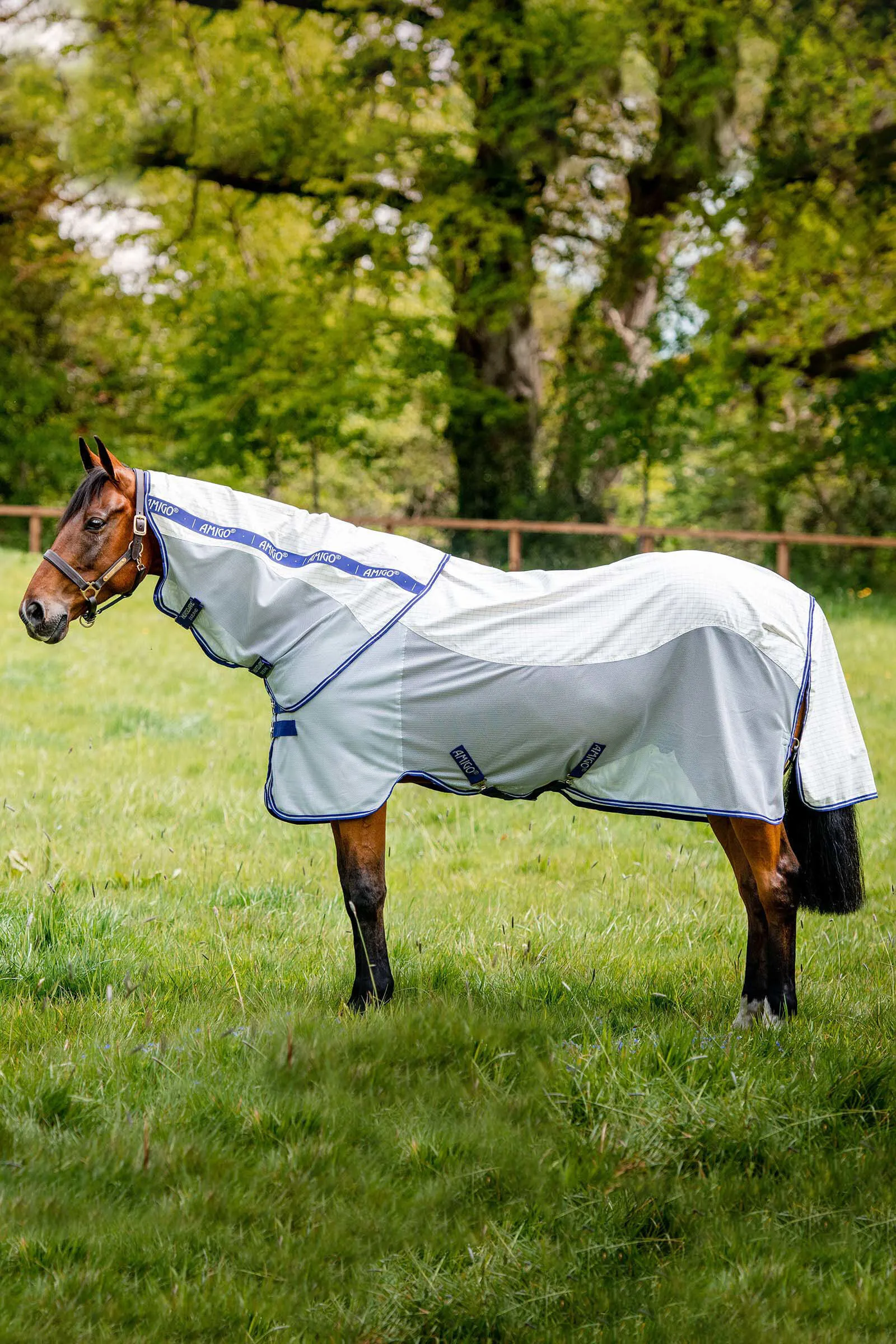 Horseware Amigo Coperta antimosche Airflow con collo rimovibile