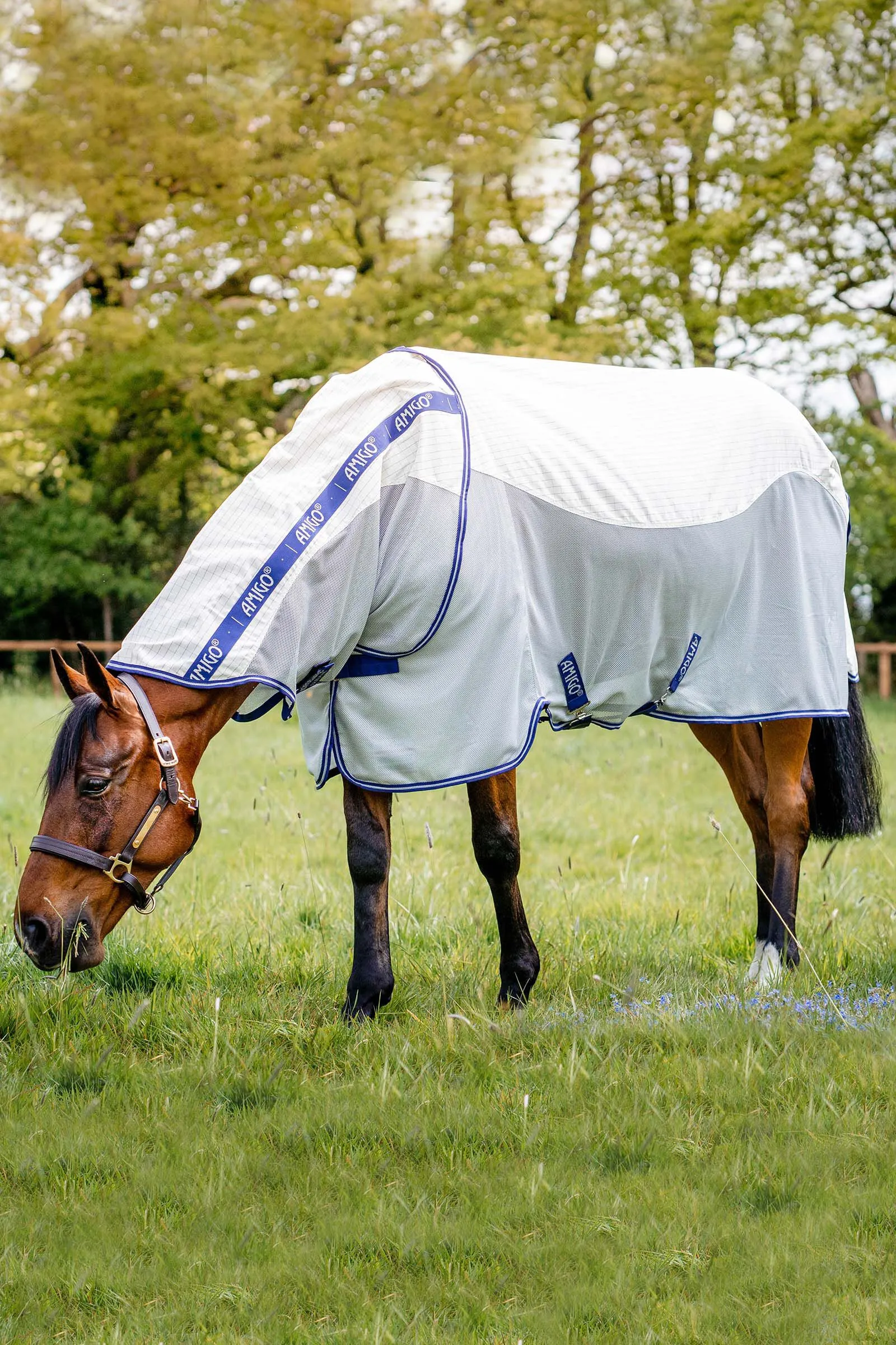 Horseware Amigo Coperta antimosche Airflow con collo rimovibile