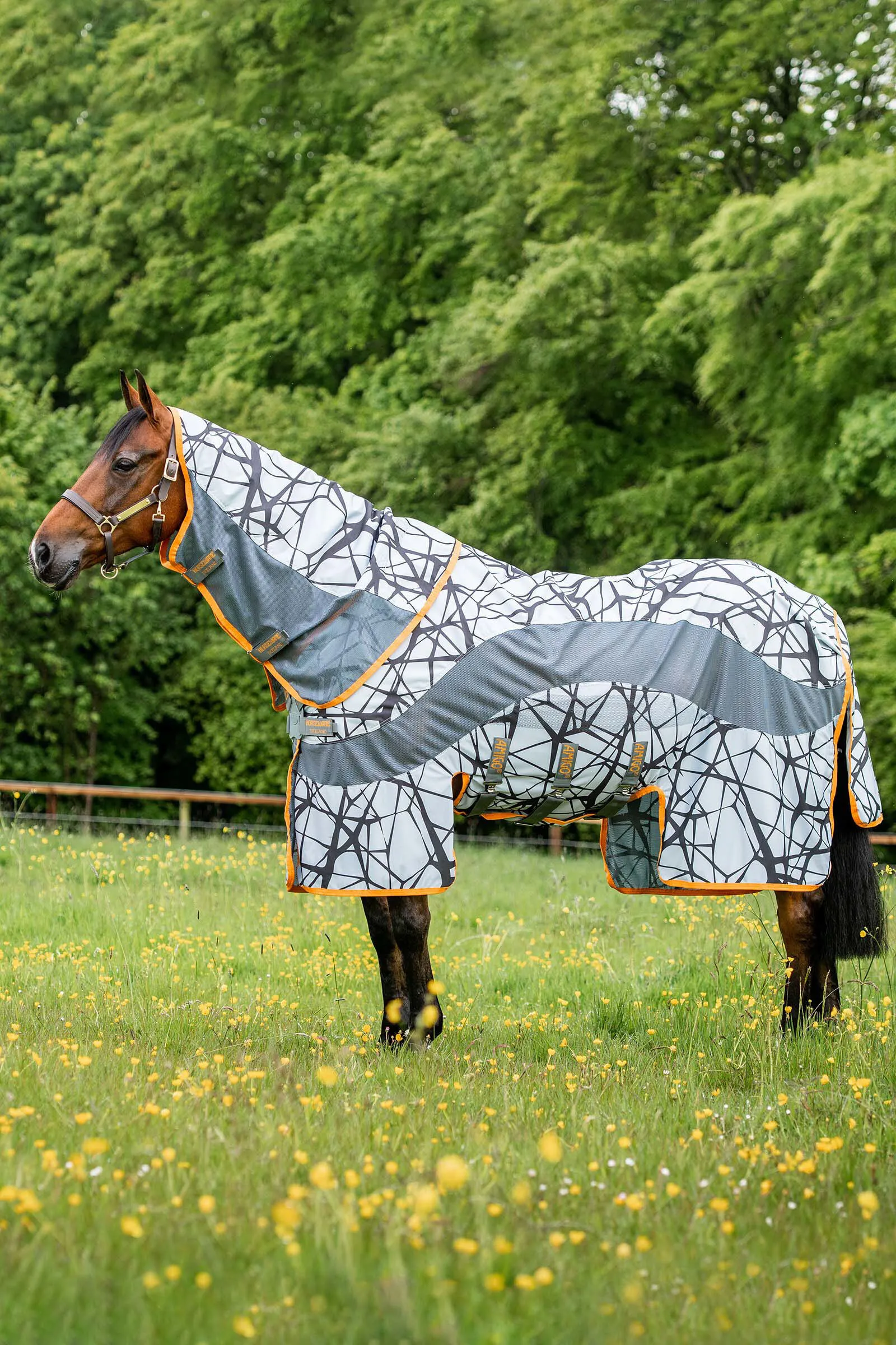 Horseware Amigo Coperta CamoFly 3 in 1