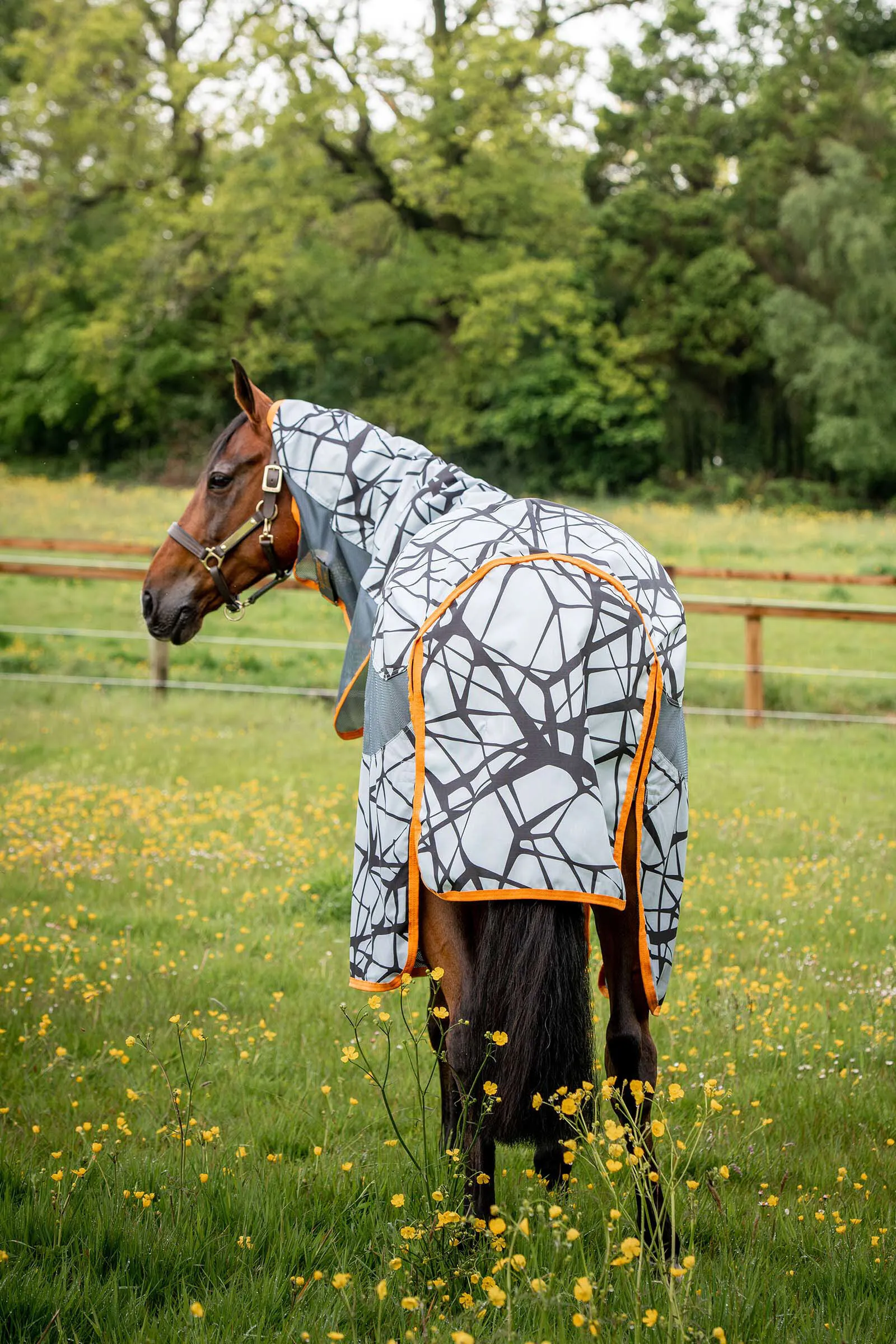 Horseware Amigo Coperta CamoFly 3 in 1