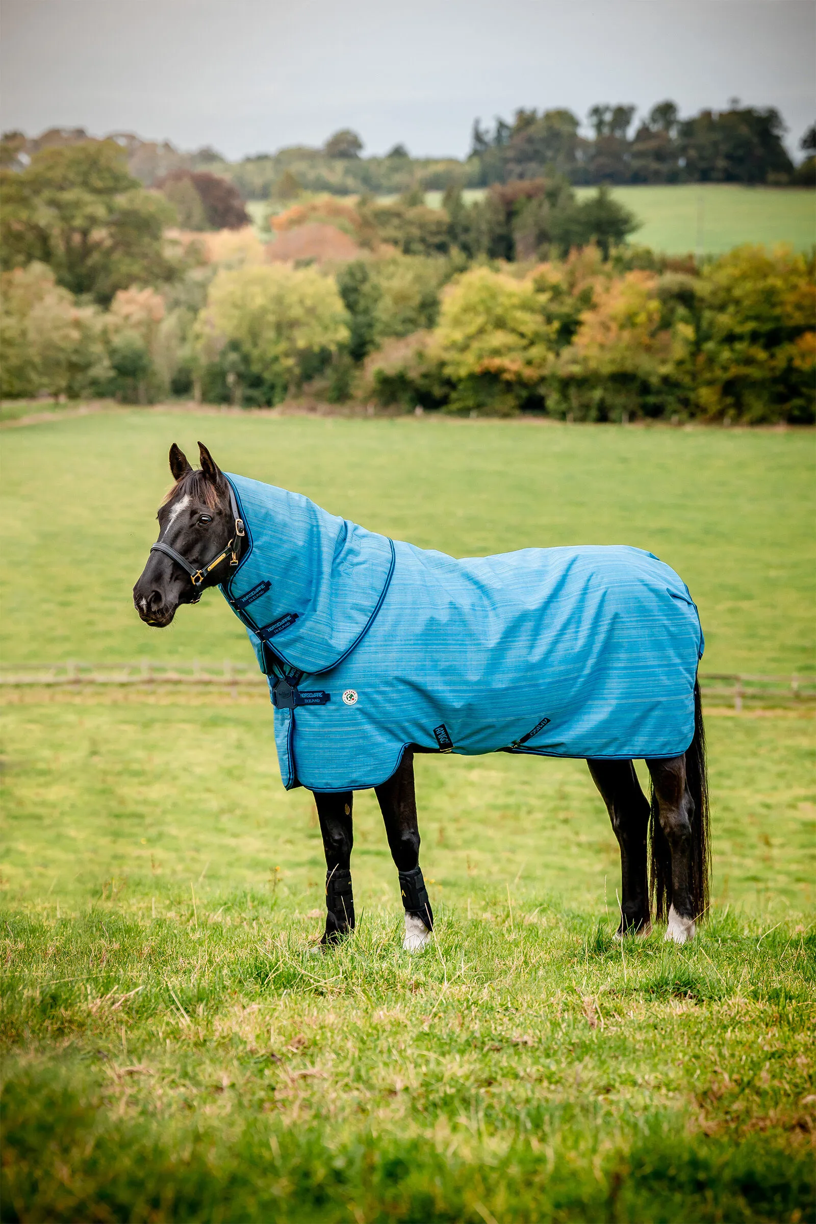 Horseware Amigo Hero 900 Revive Plus Coperta da turnout con collo rimovibile, 50 gr