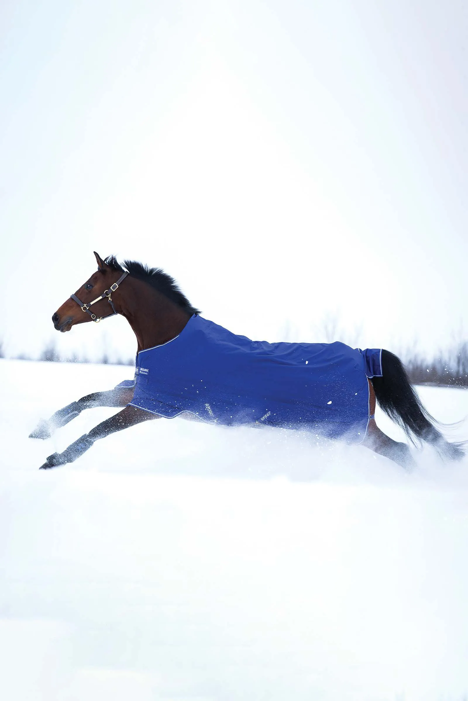 Horseware Amigo Hero Coperta da turnout 900 T/O Med, 200 g