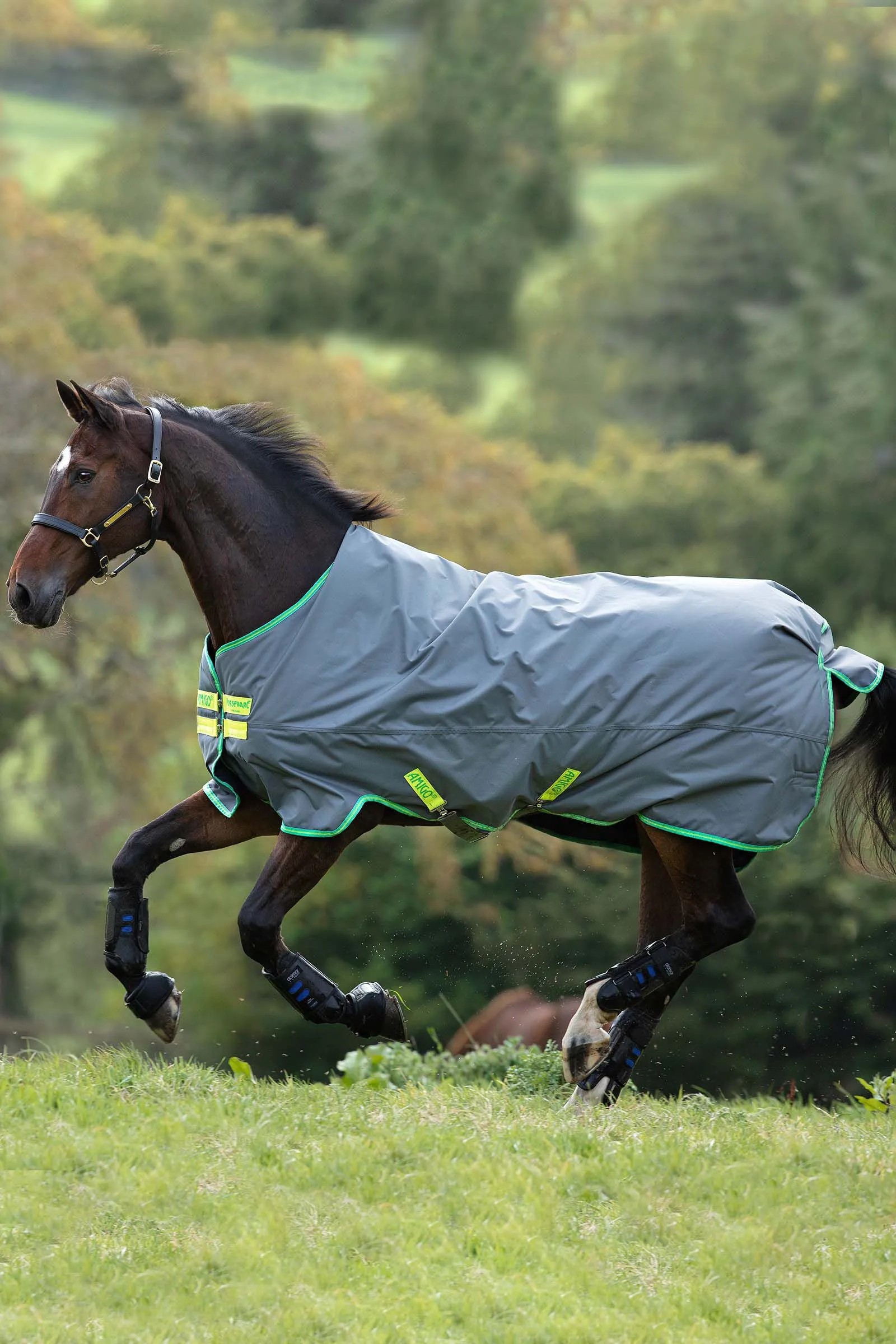 Horseware Amigo Hero Coperta da turnout 900 T/O Med, 200 g