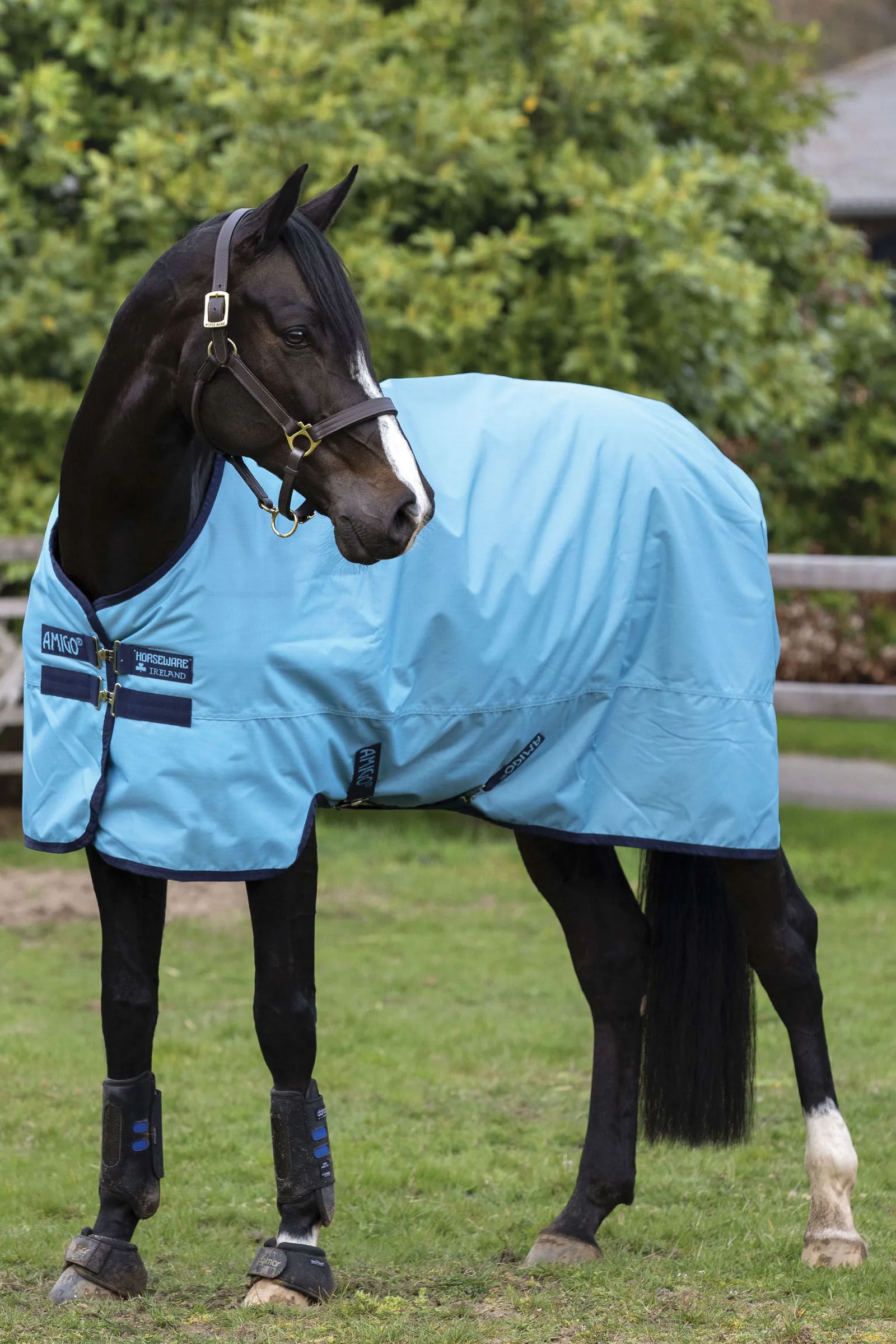 Horseware Amigo Hero Coperta da turnout in ripstop 50 gr