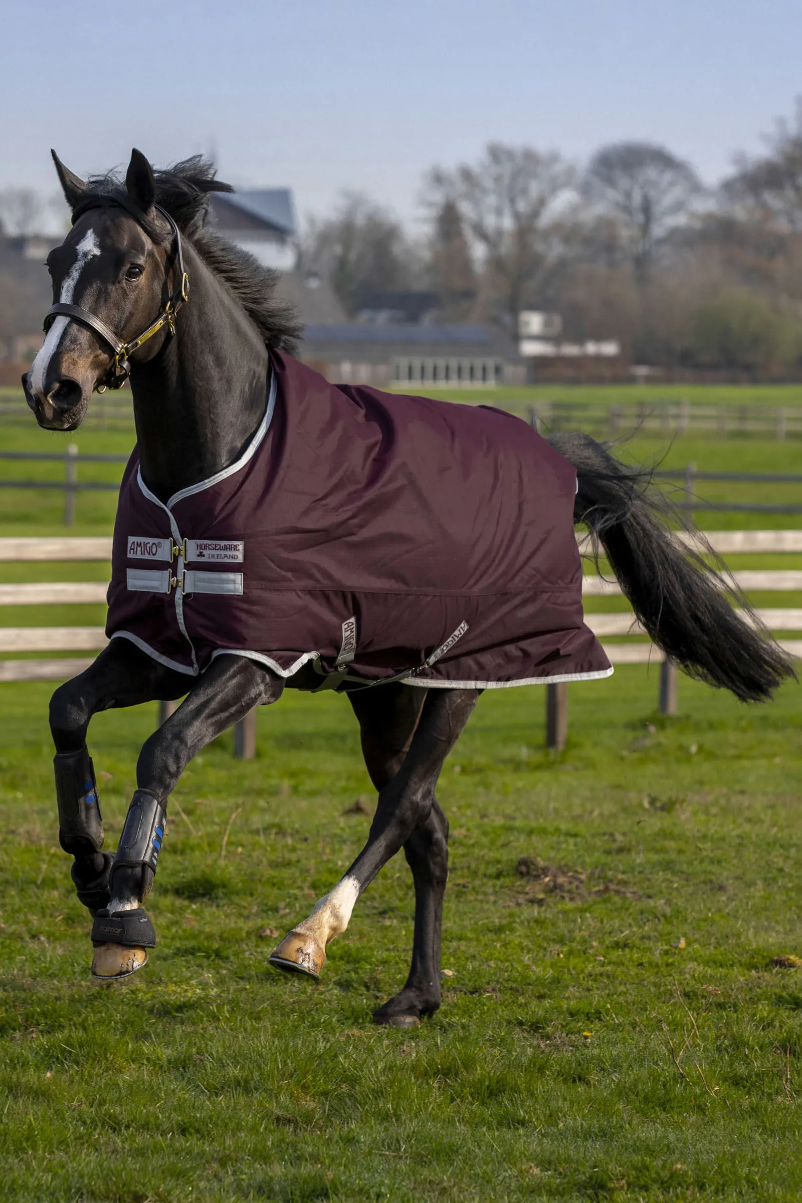 Horseware Amigo Hero Coperta da turnout in ripstop 50 gr