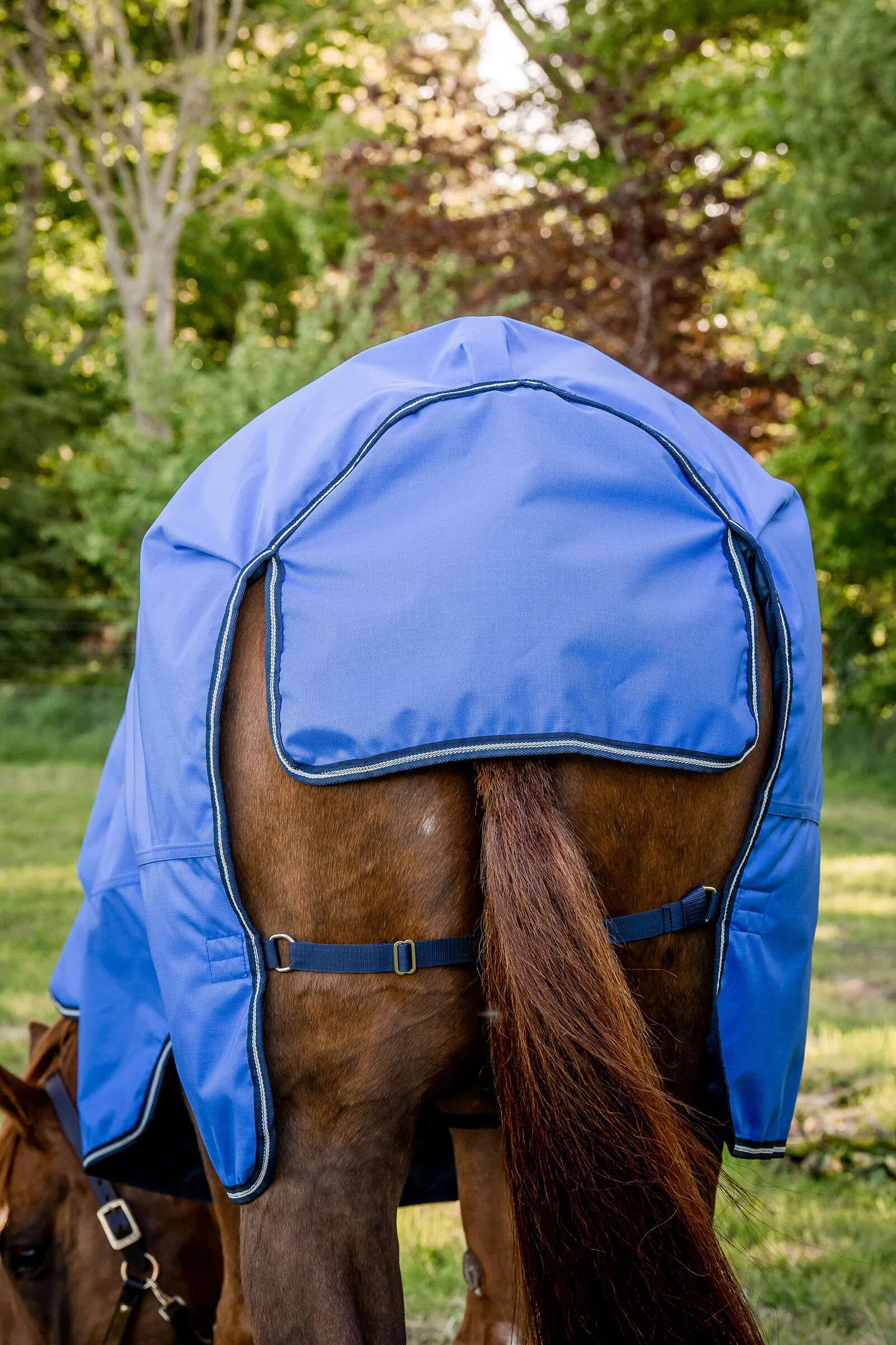 Horseware Amigo Hero Coperta da turnout in ripstop 50 gr