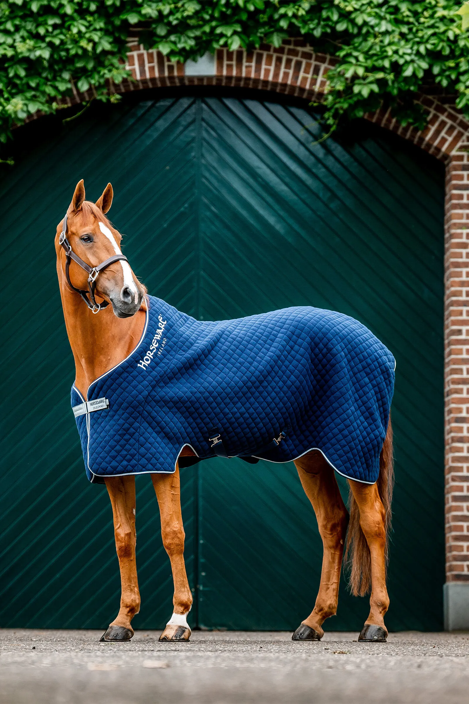 Horseware Autumn Coperta dopolavoro