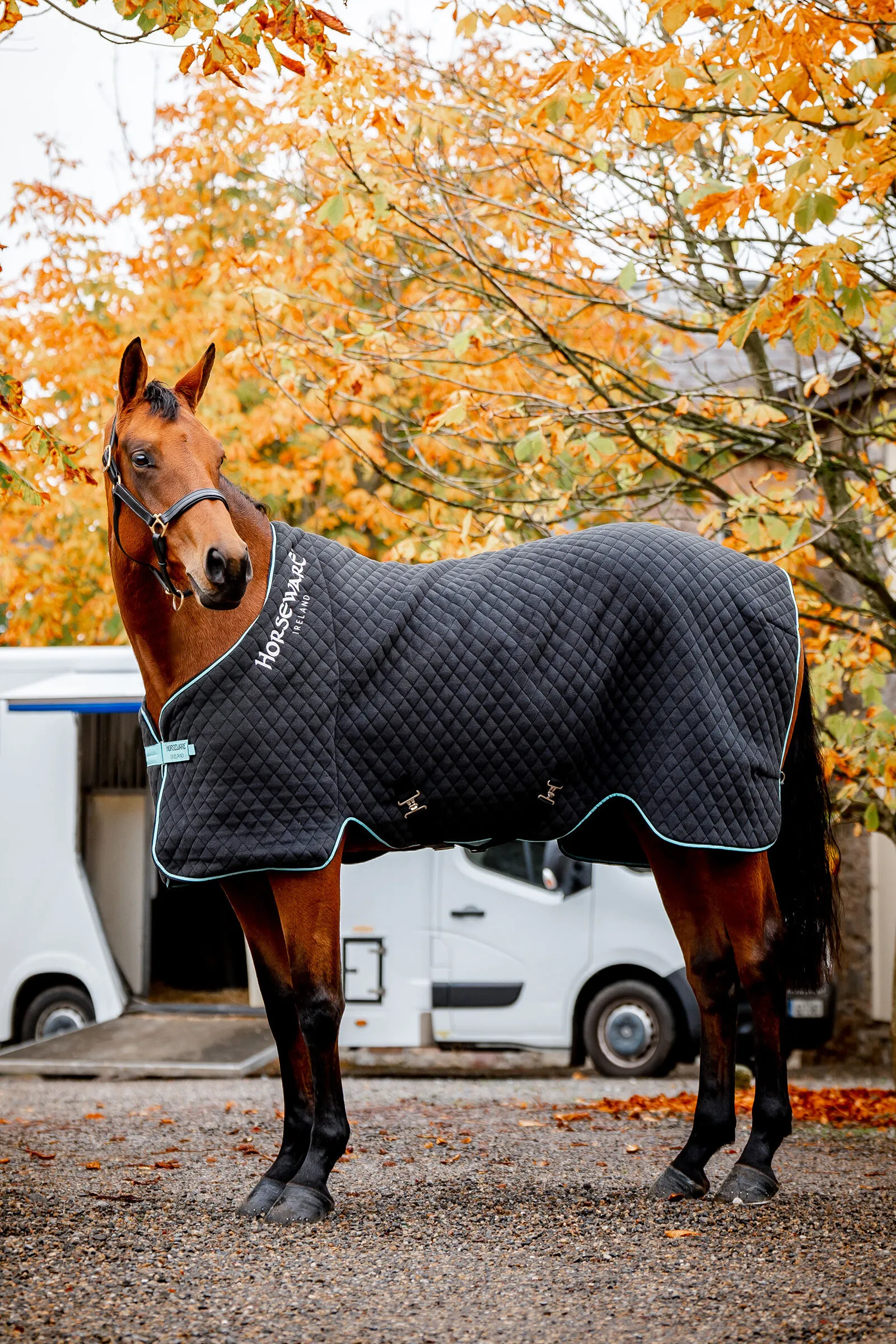 Horseware Autumn Coperta dopolavoro