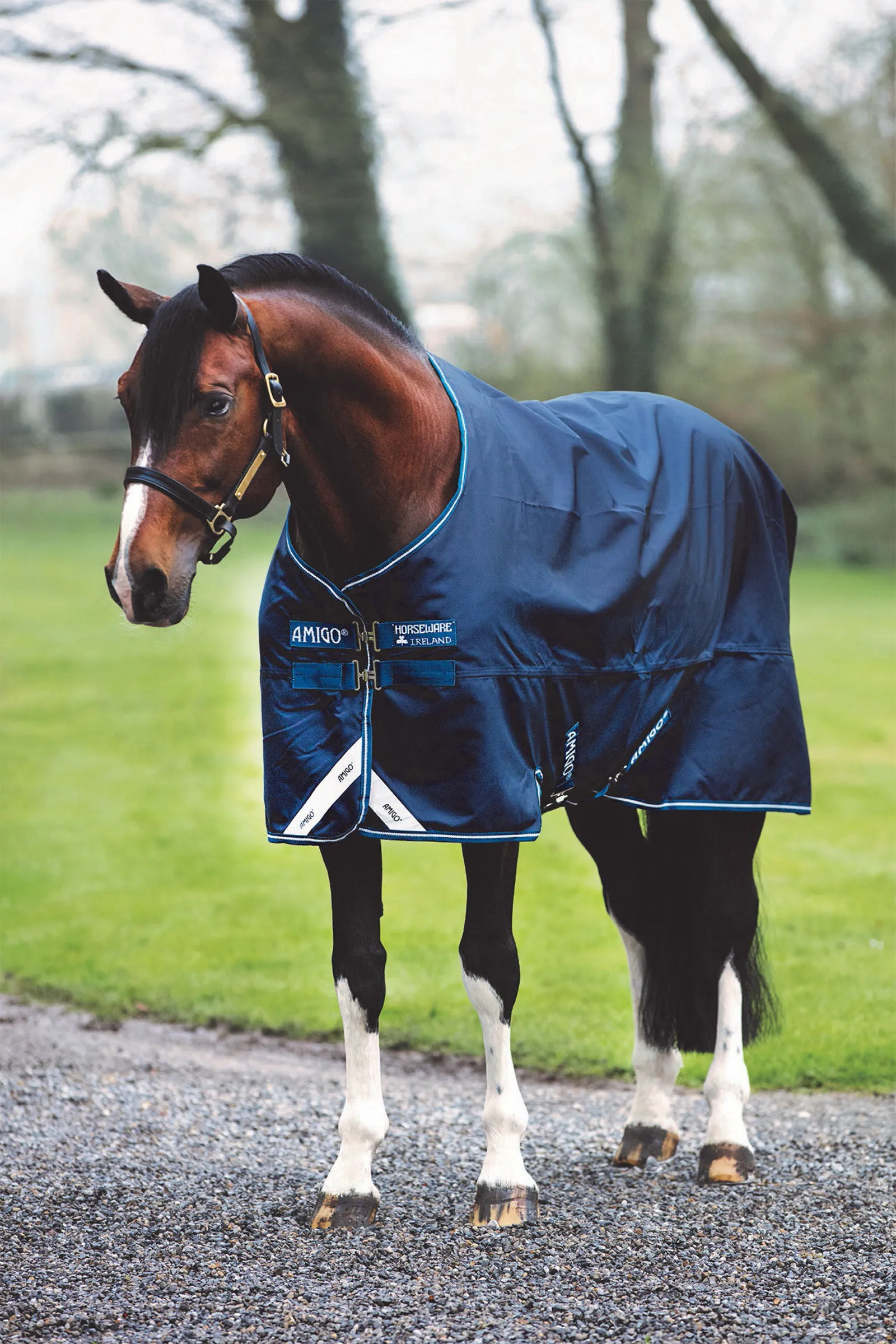 Horseware Coperta da turnout Amigo Bravo 12, 100 gr