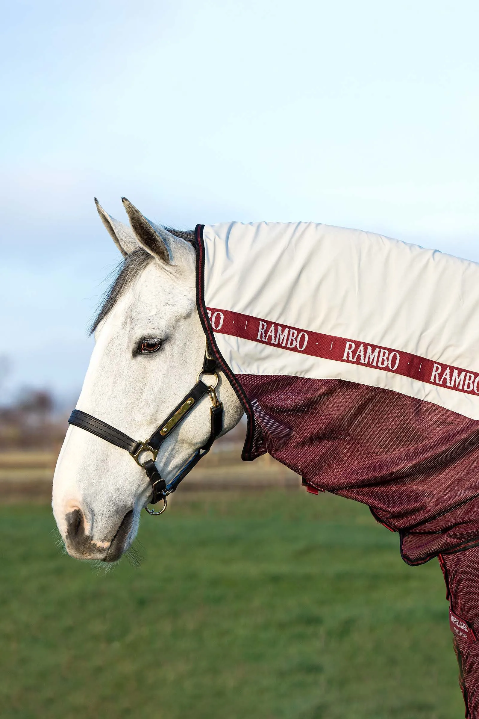 Horseware Rambo Coperta per cavalli Summer Series