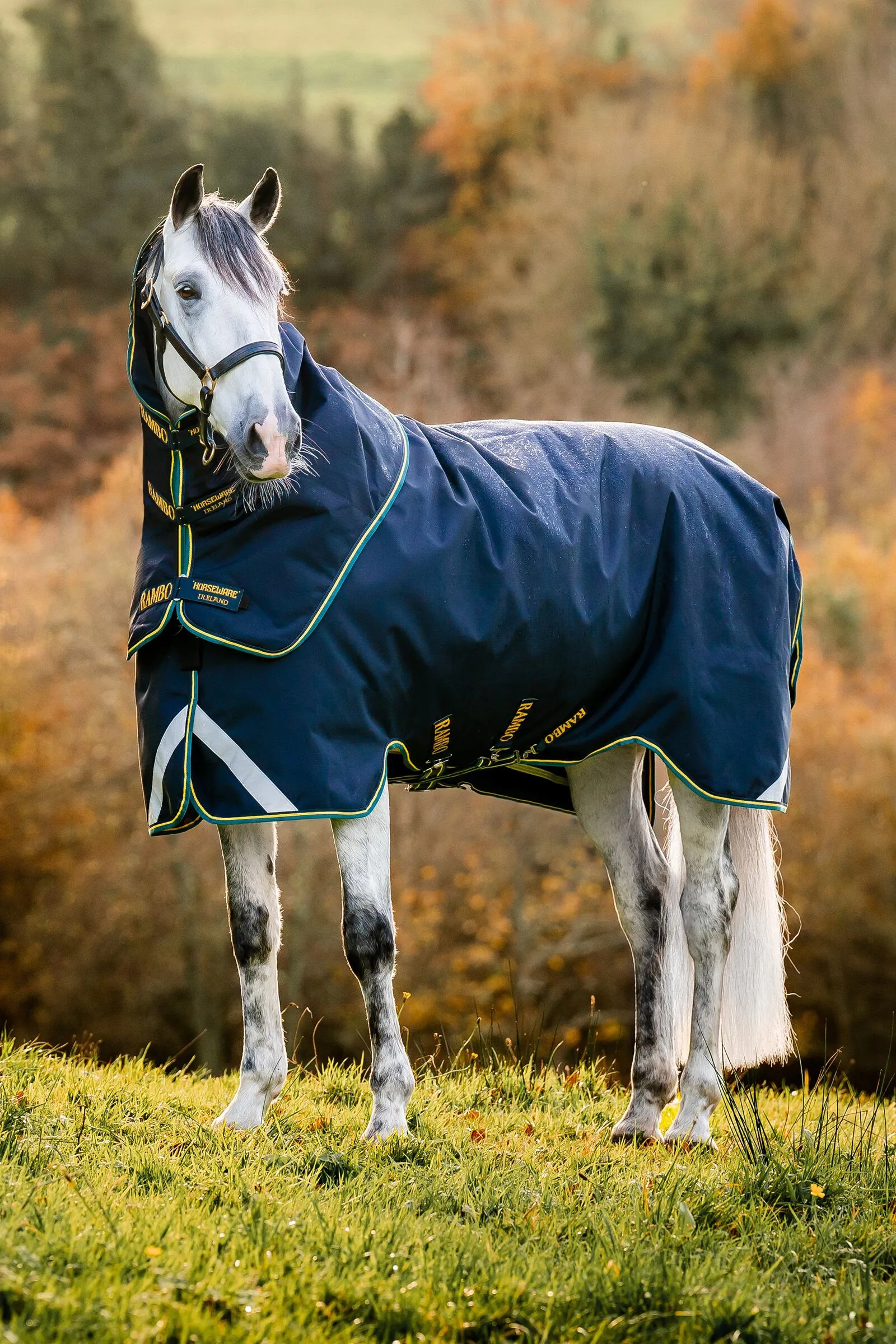 Horseware Rambo Duo Force 2.0, Coperta da turnout 100 gr (100g esterno con 100g fodera e 300g fodera)