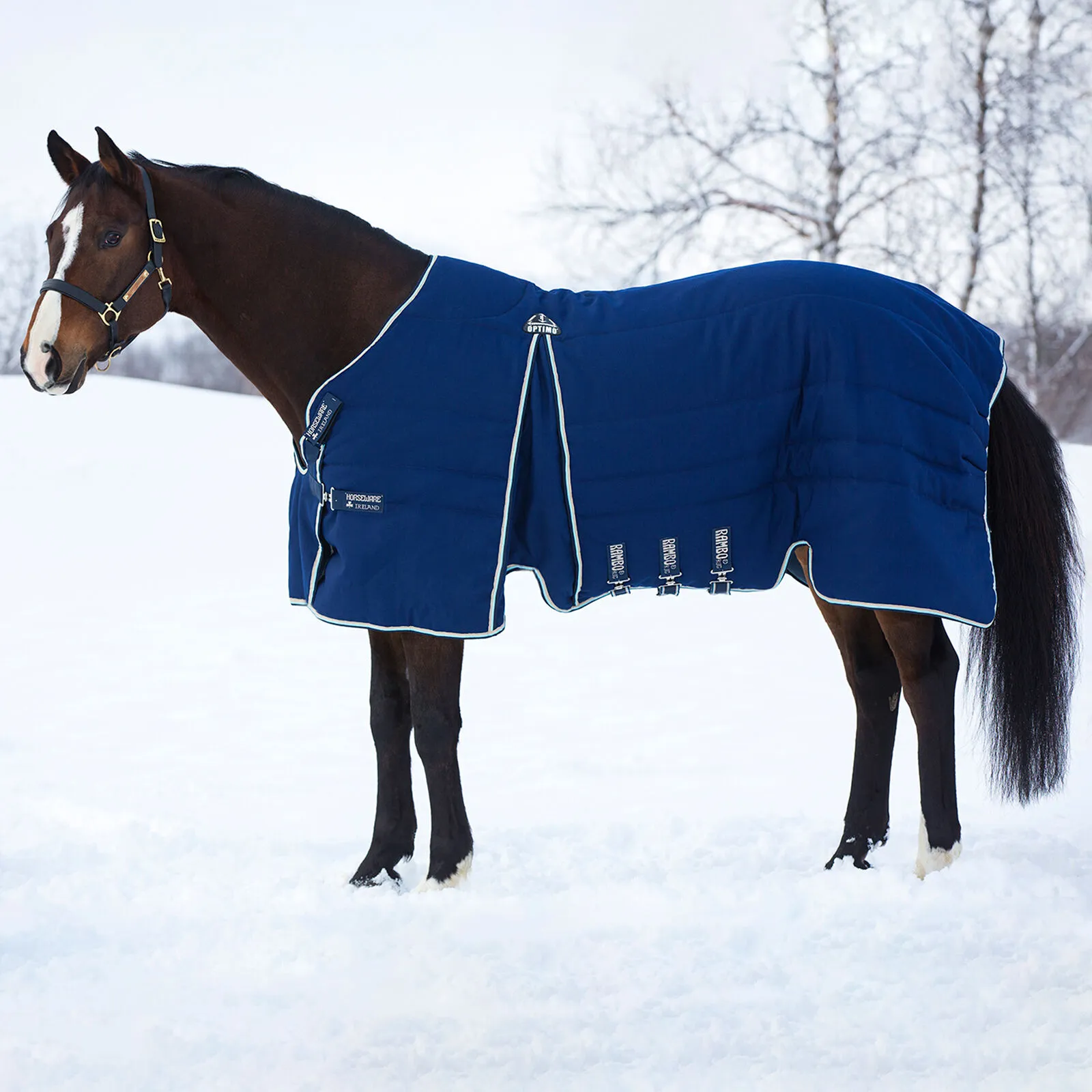 Horseware Rambo Optimo Coperta per stalla 200 gr