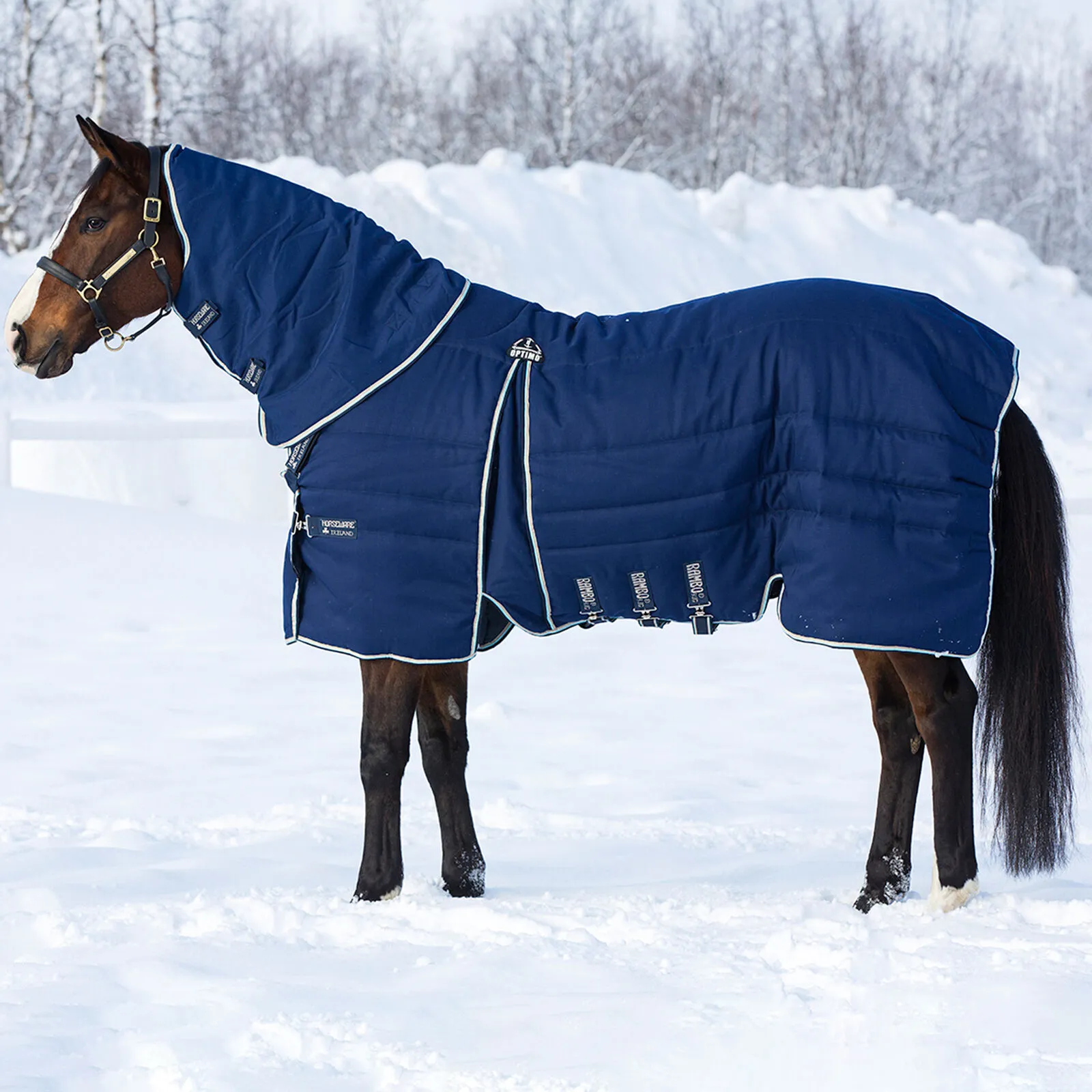 Horseware Rambo Optimo Coperta per stalla 200 gr