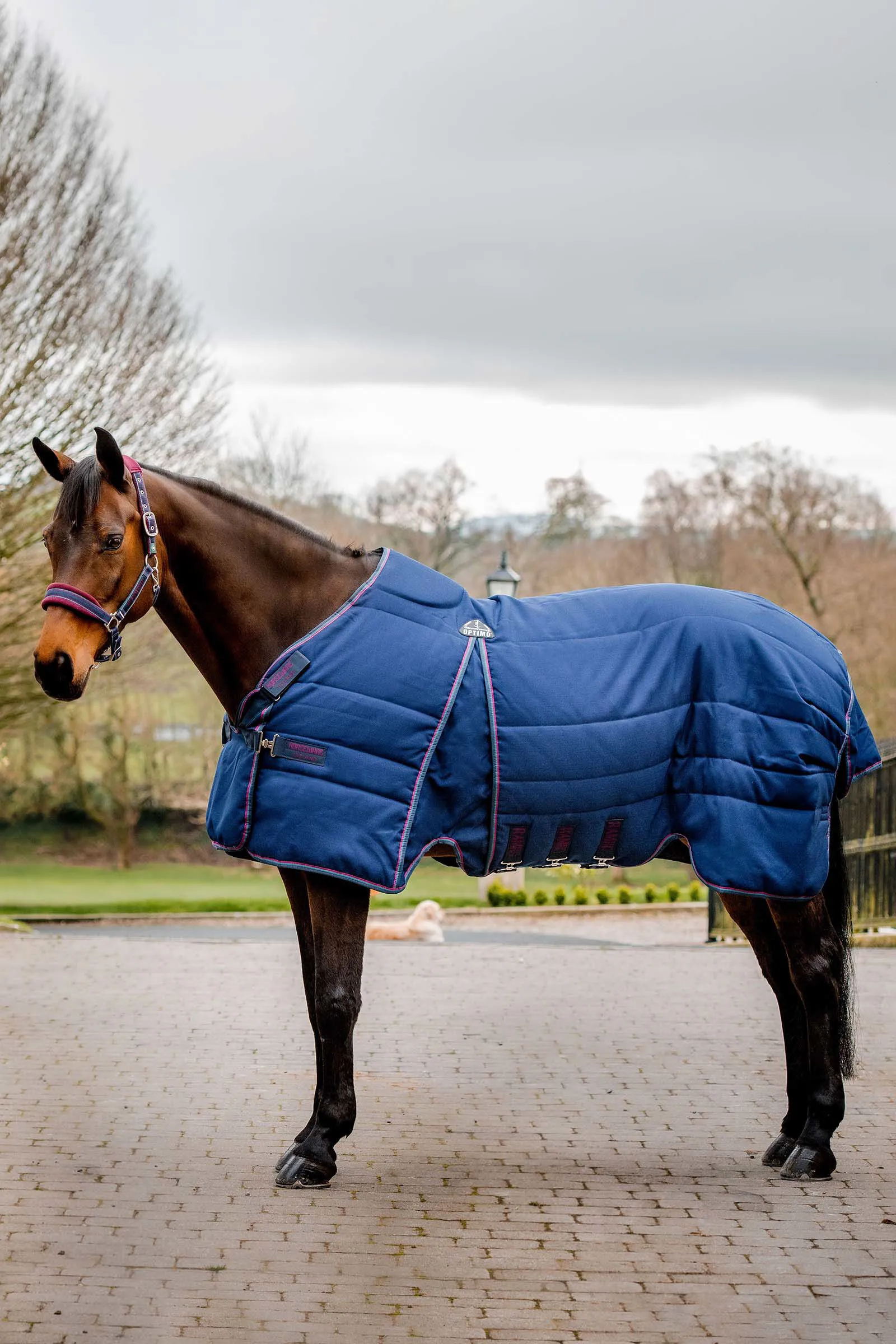 Horseware Rambo Optimo Coperta per stalla 200 gr