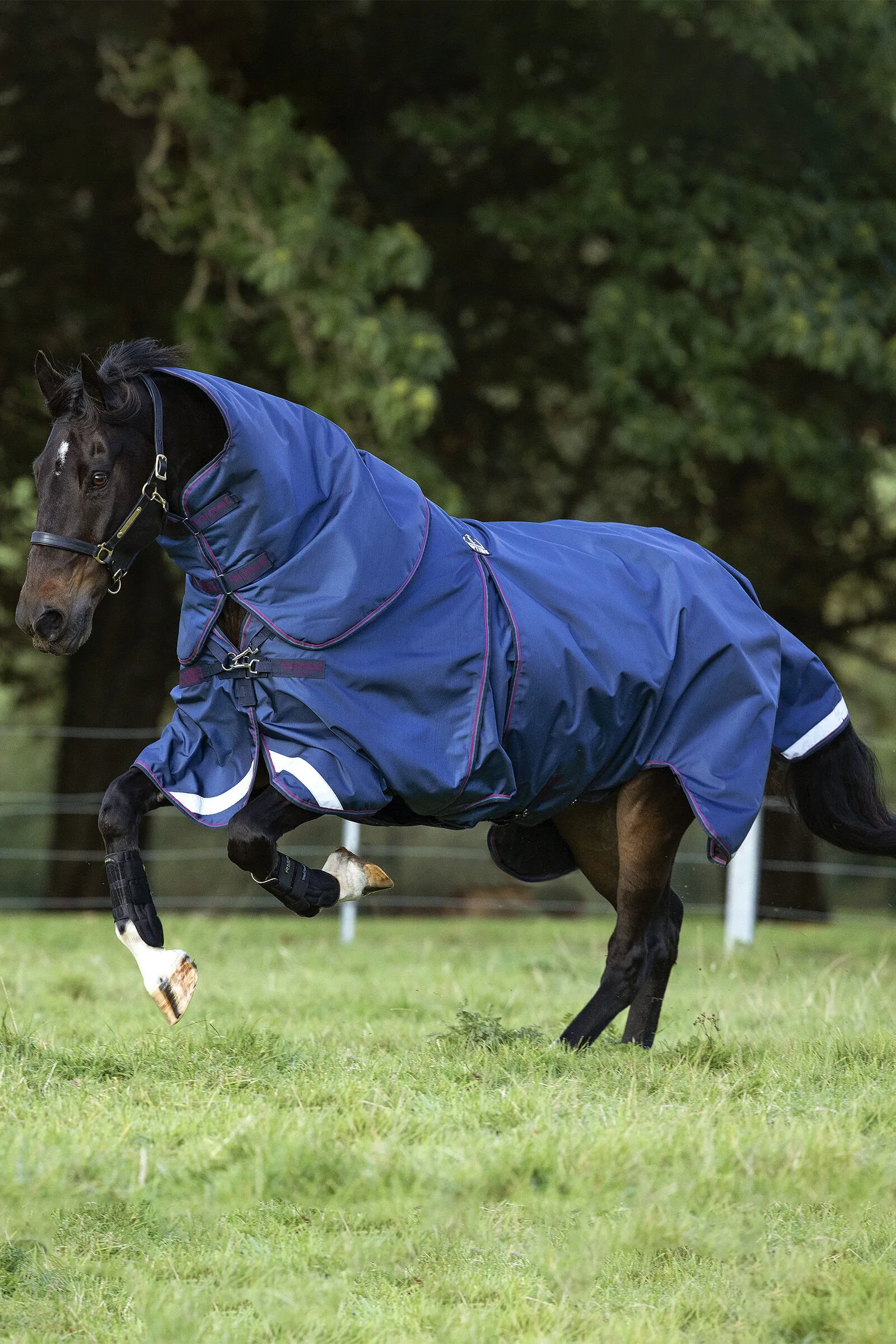 Horseware Rambo Optimo Plus Coperta da Pascolo, 0g