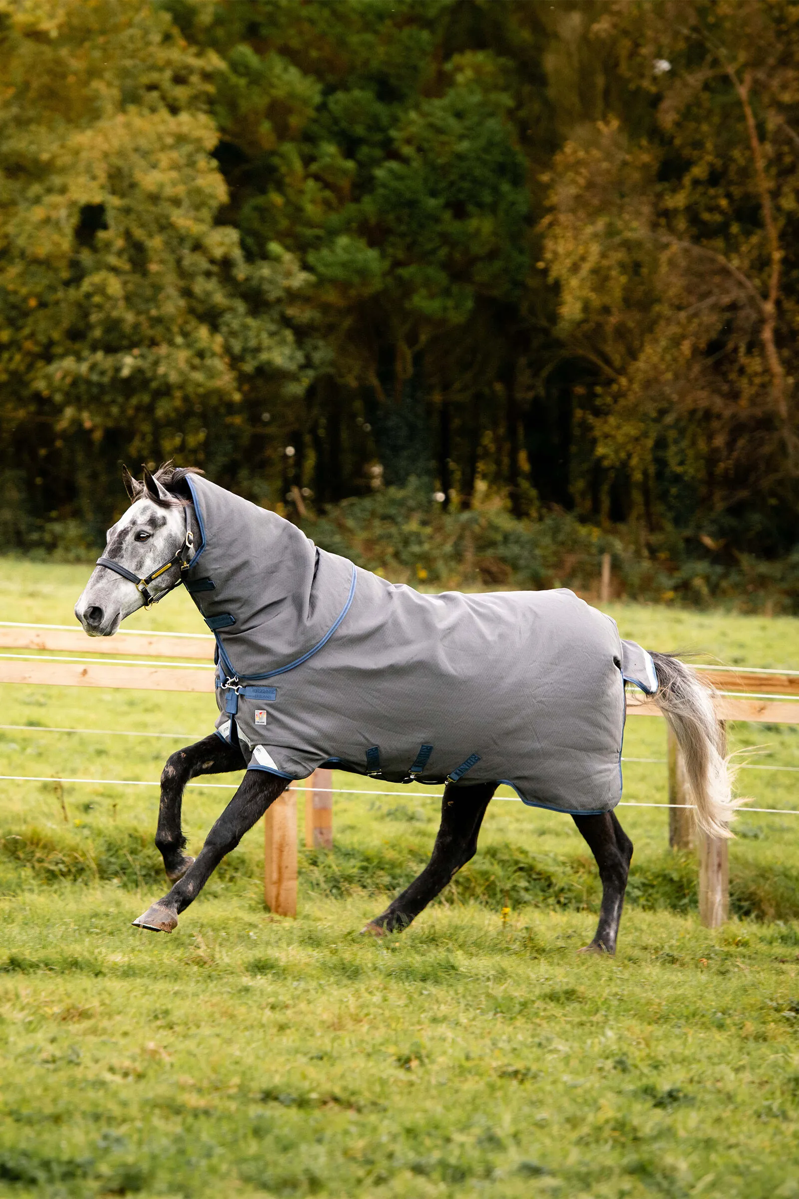 Horseware Rhino Plus HexSTOP Vari-Layer Coperta da Pascolo, 0g